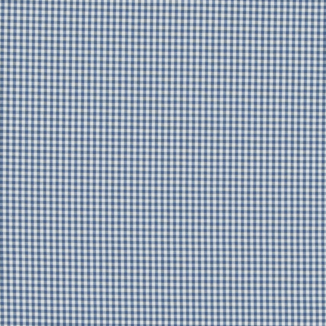 Sherborne Gingham fabric in blue color - pattern PF50506.660.0 - by Baker Lifestyle in the Bridport collection