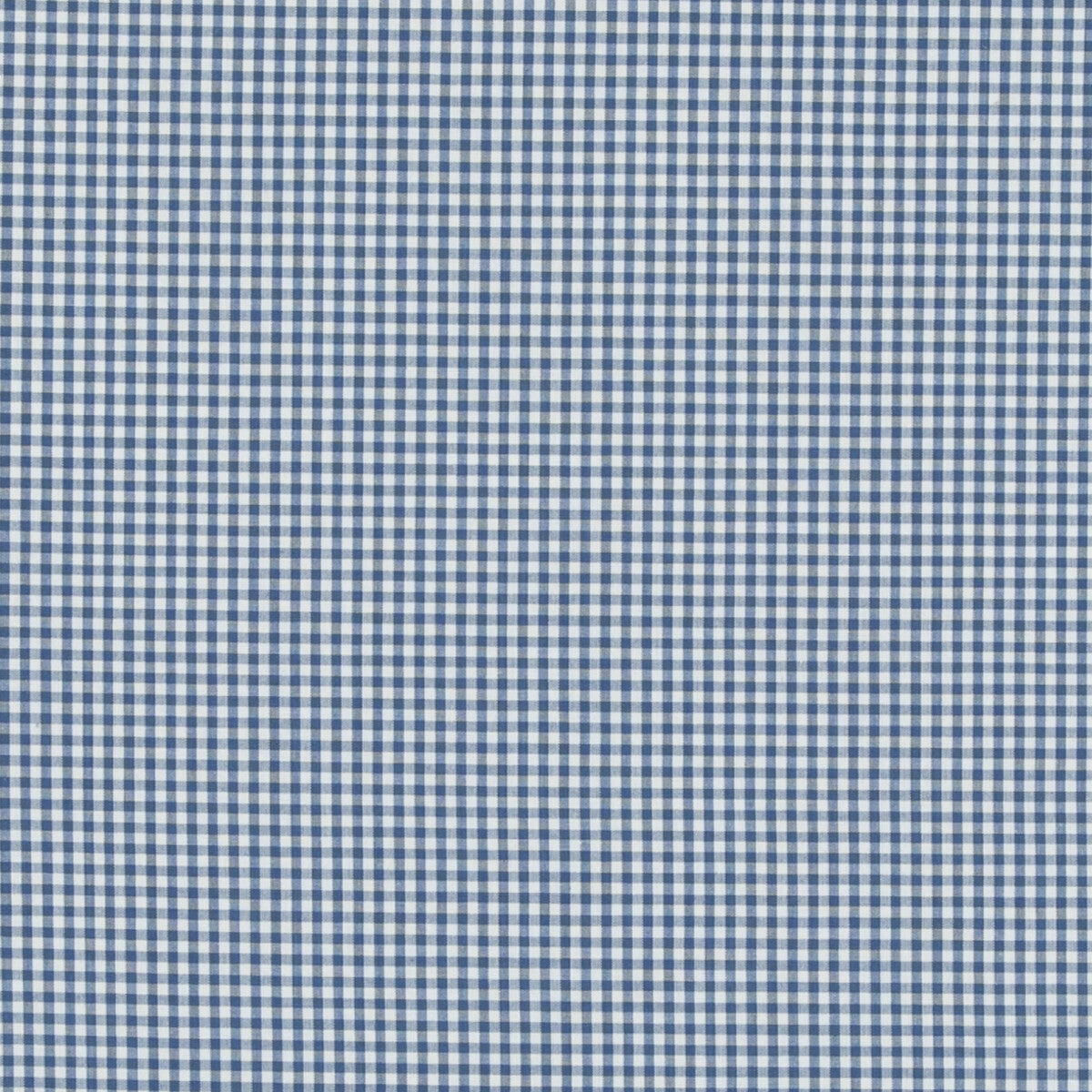 Sherborne Gingham fabric in blue color - pattern PF50506.660.0 - by Baker Lifestyle in the Bridport collection