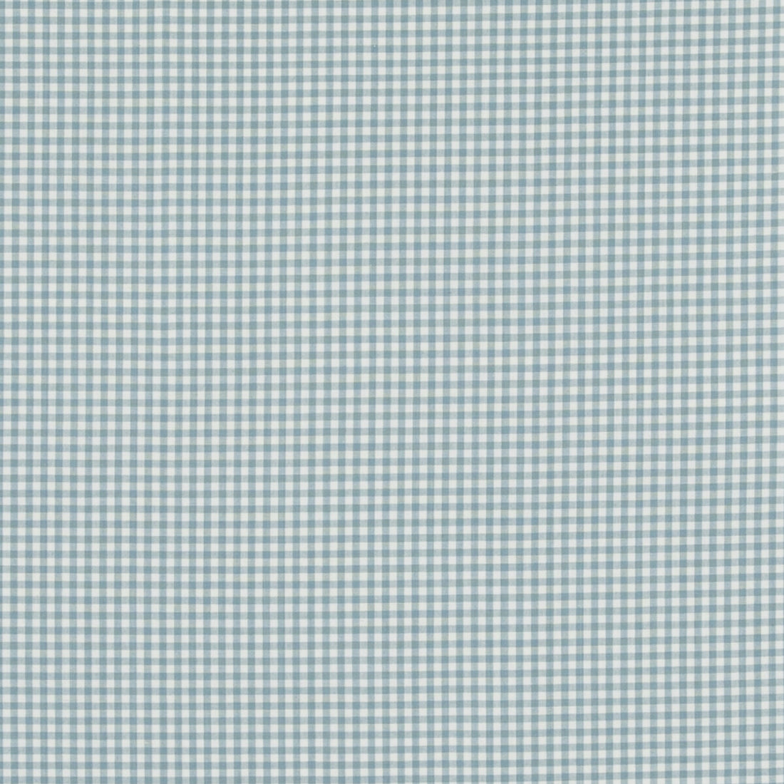 Sherborne Gingham fabric in aqua color - pattern PF50506.725.0 - by Baker Lifestyle in the Bridport collection
