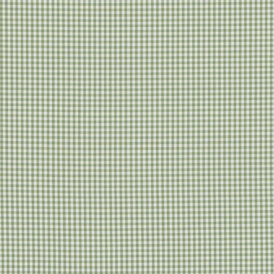 Sherborne Gingham fabric in green color - pattern PF50506.735.0 - by Baker Lifestyle in the Bridport collection