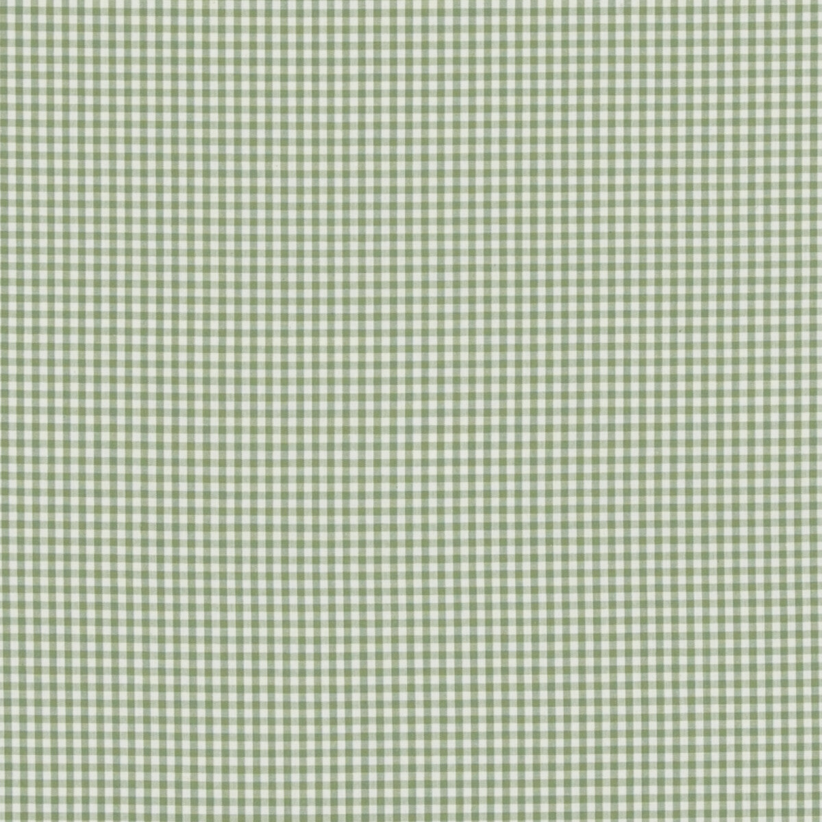 Sherborne Gingham fabric in green color - pattern PF50506.735.0 - by Baker Lifestyle in the Bridport collection