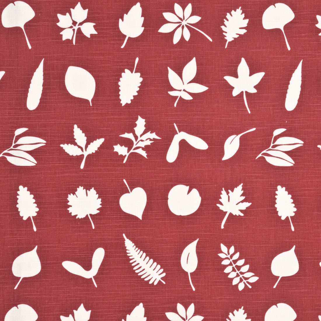 Tumbling Leaves fabric in red color - pattern PP50342.2.0 - by Baker Lifestyle in the Opera Garden collection