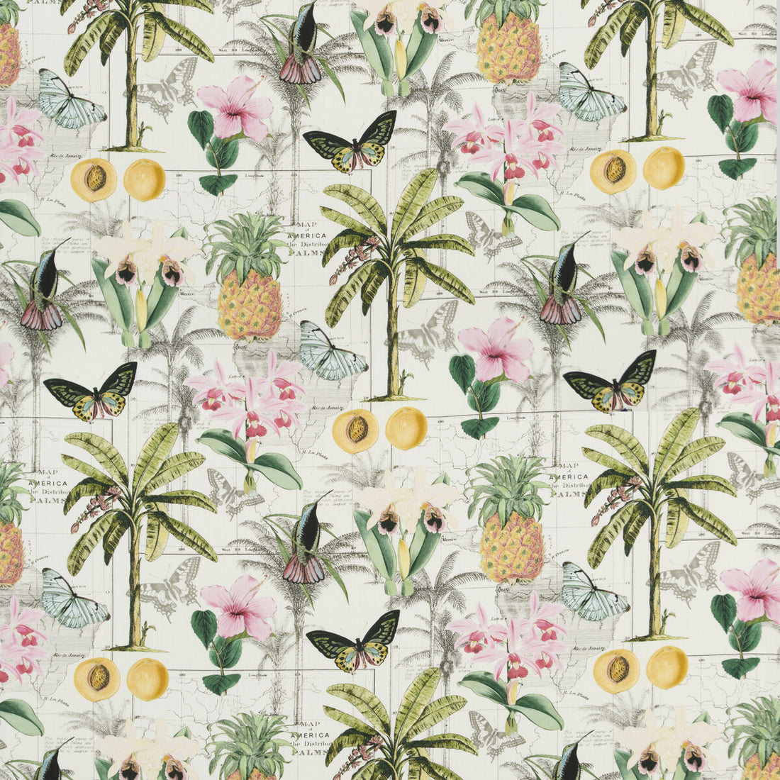 Orinoco fabric in tropical color - pattern PP50434.1.0 - by Baker Lifestyle in the Carnival collection