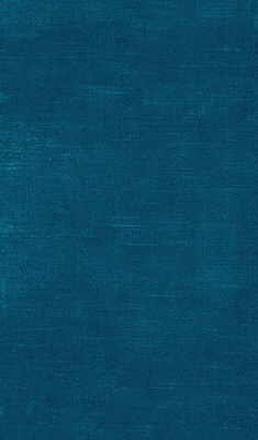 Queen Victoria fabric in navy color - pattern QUEEN VICTORIA.NAVY.0 - by Lee Jofa