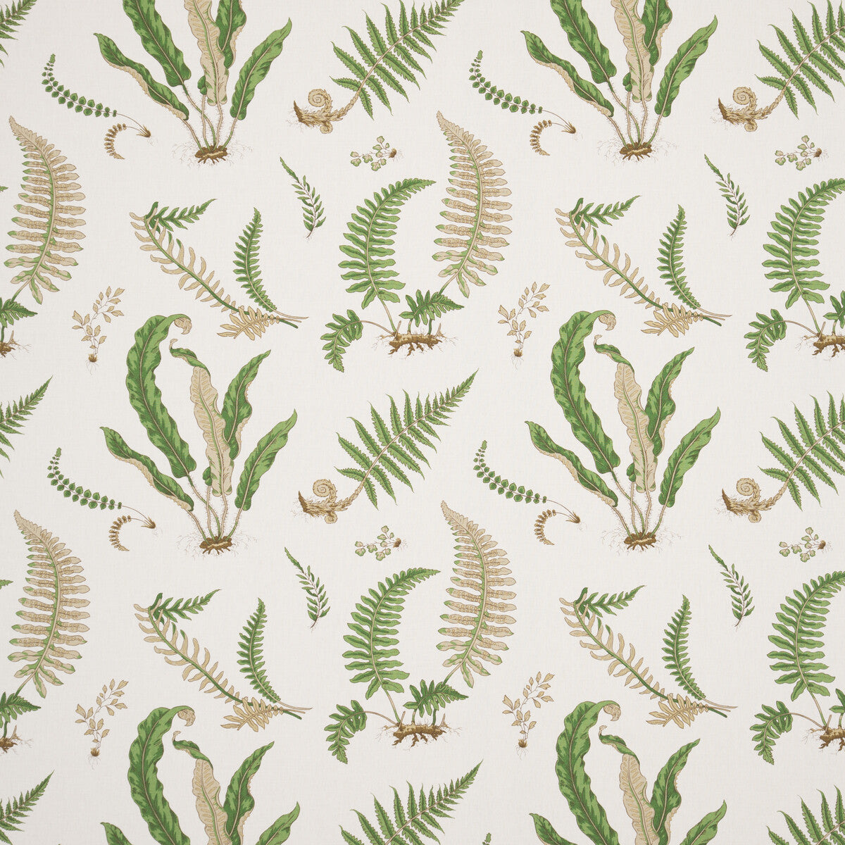 Ferns Linen fabric in stone/green color - pattern R1324.01.0 - by G P & J Baker in the Perennia collection