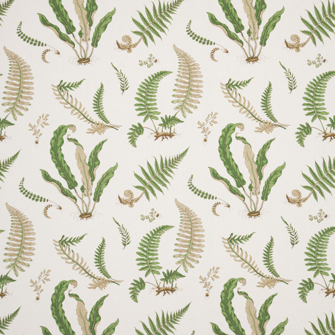 Ferns Linen fabric in stone/green color - pattern R1324.1.0 - by G P &amp; J Baker in the Perennia collection