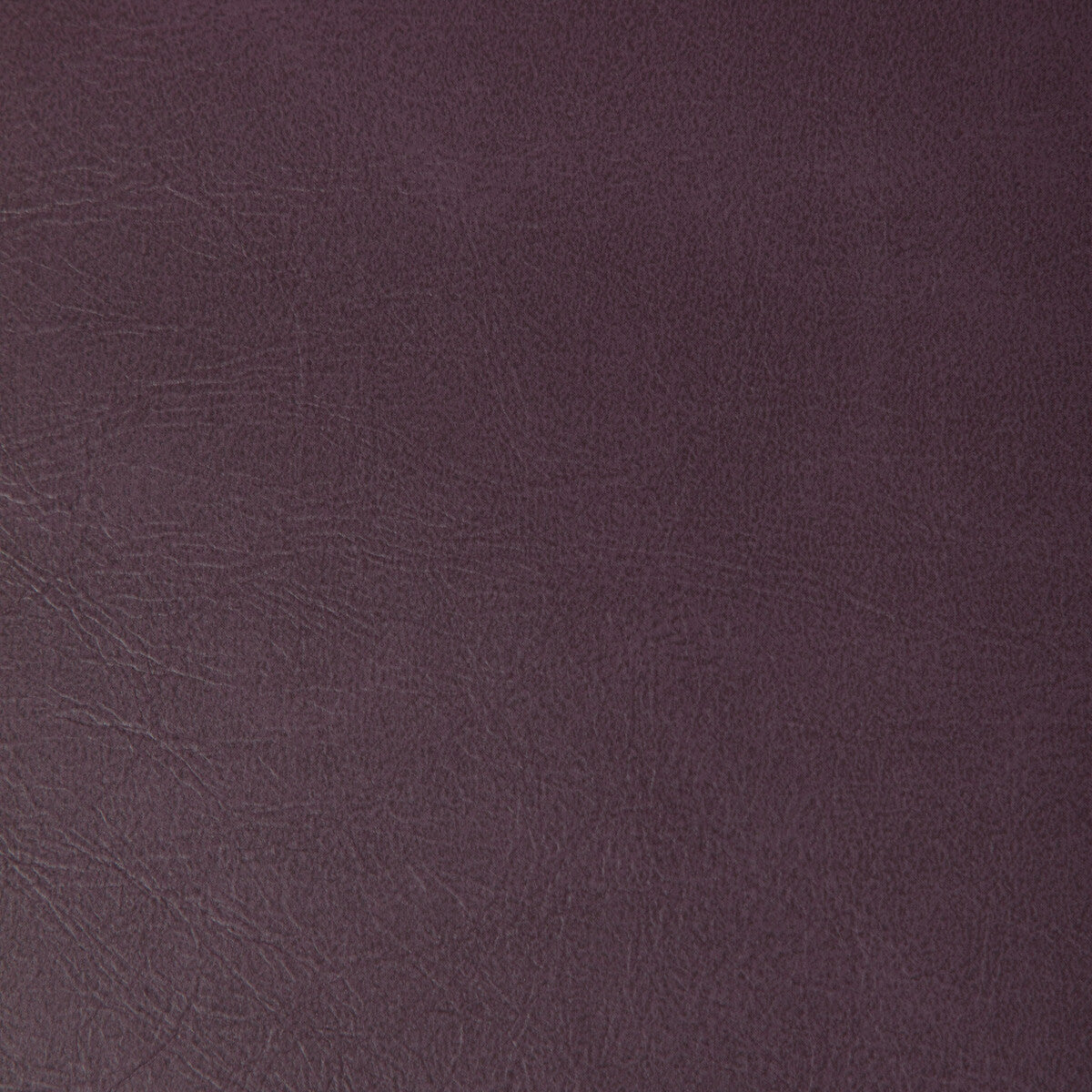 Rambler fabric in aubergine color - pattern RAMBLER.10.0 - by Kravet Contract