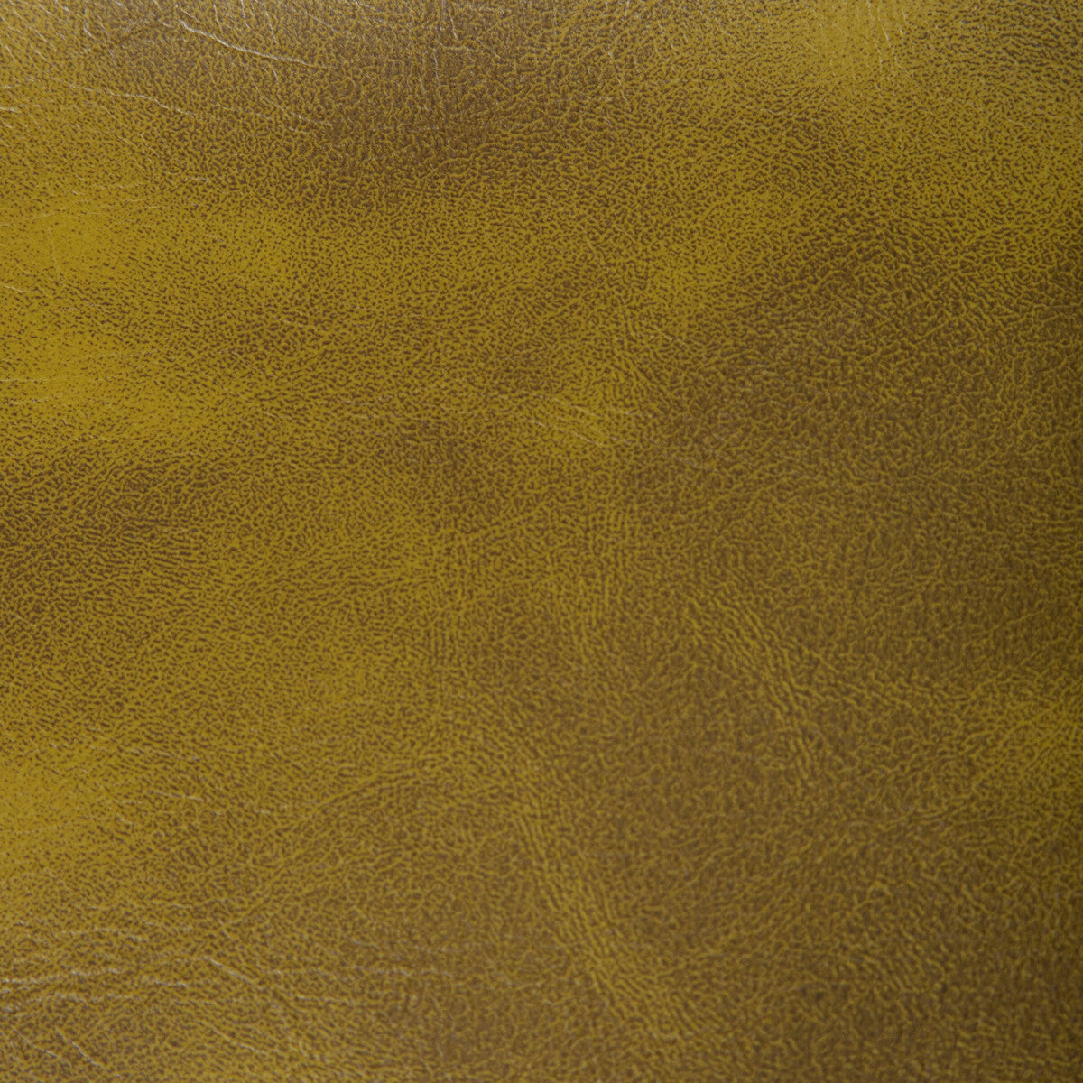 Rambler fabric in cactus color - pattern RAMBLER.130.0 - by Kravet Contract