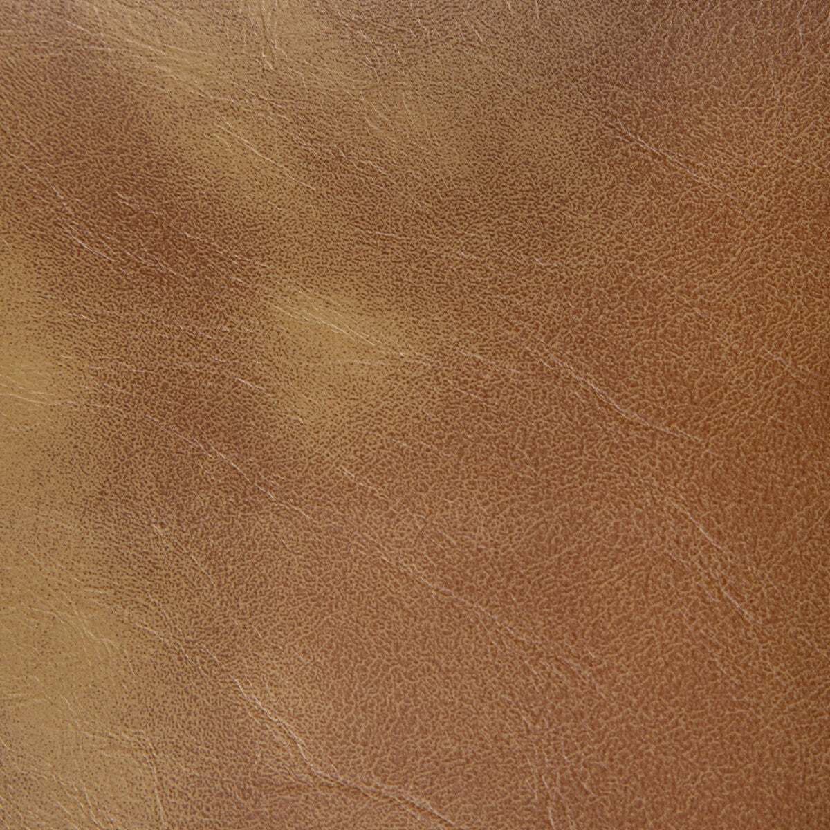 Rambler fabric in saddle color - pattern RAMBLER.166.0 - by Kravet Contract