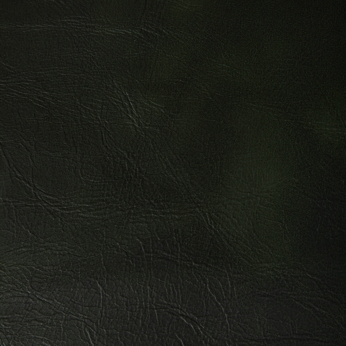 Rambler fabric in forest color - pattern RAMBLER.53.0 - by Kravet Contract