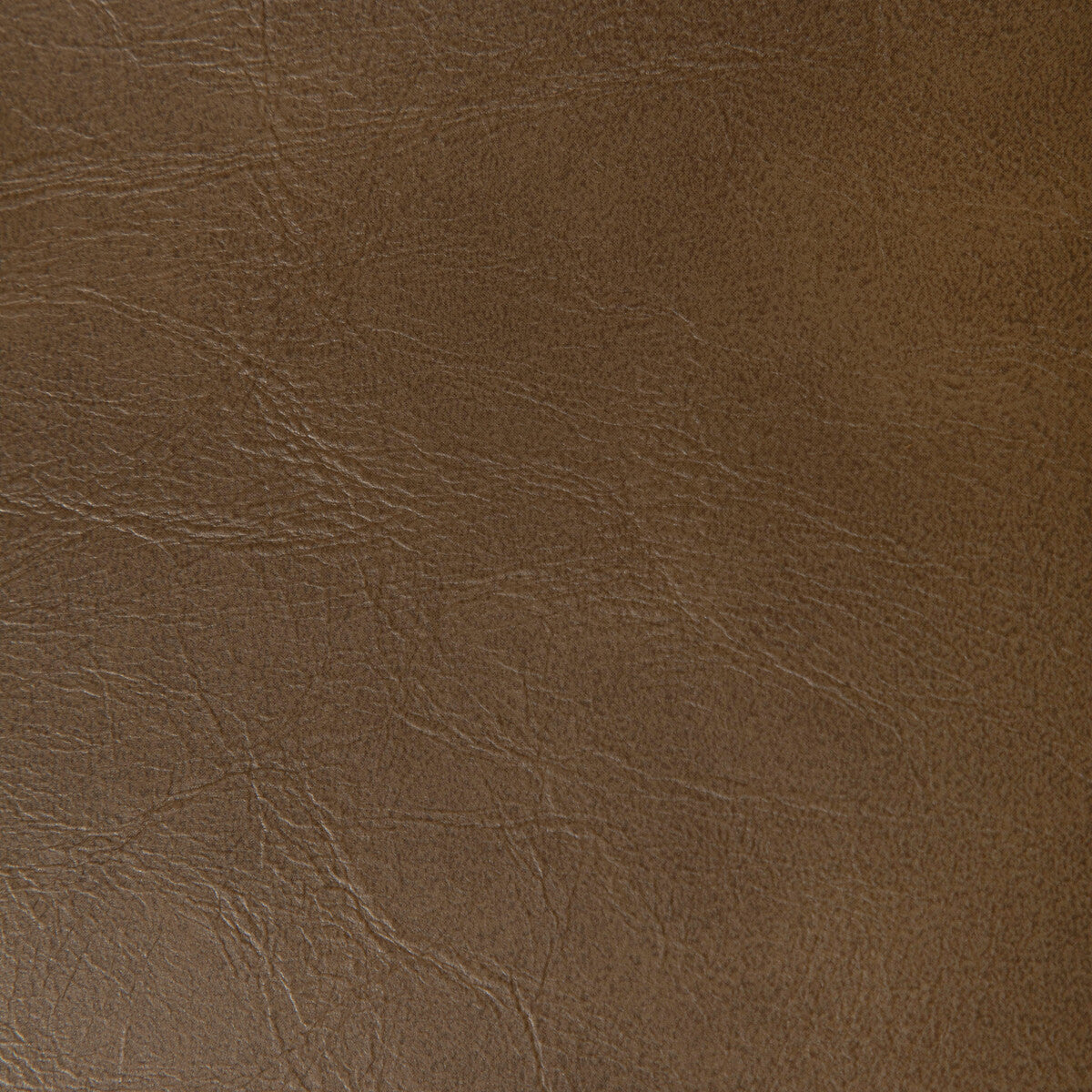 Rambler fabric in chicory color - pattern RAMBLER.606.0 - by Kravet Contract