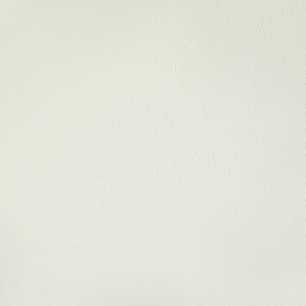 Rand fabric in gesso color - pattern RAND.1.0 - by Kravet Contract