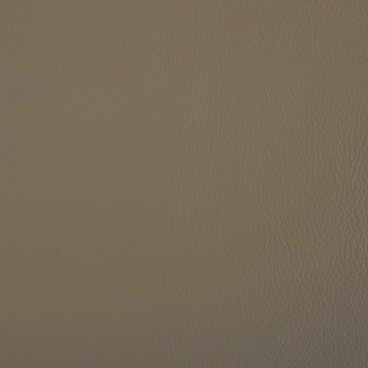 Rand fabric in dune color - pattern RAND.106.0 - by Kravet Contract
