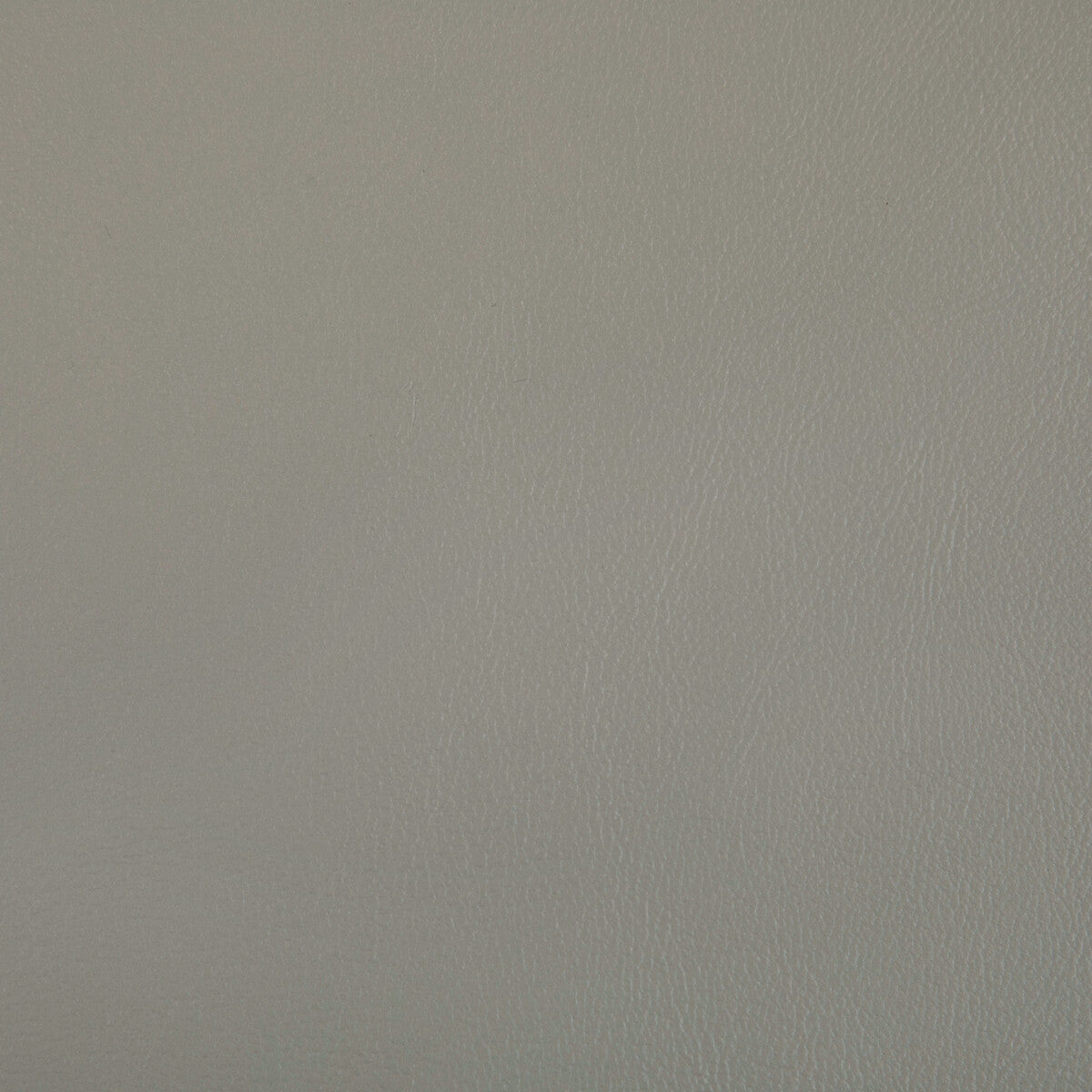 Rand fabric in porcini color - pattern RAND.11.0 - by Kravet Contract