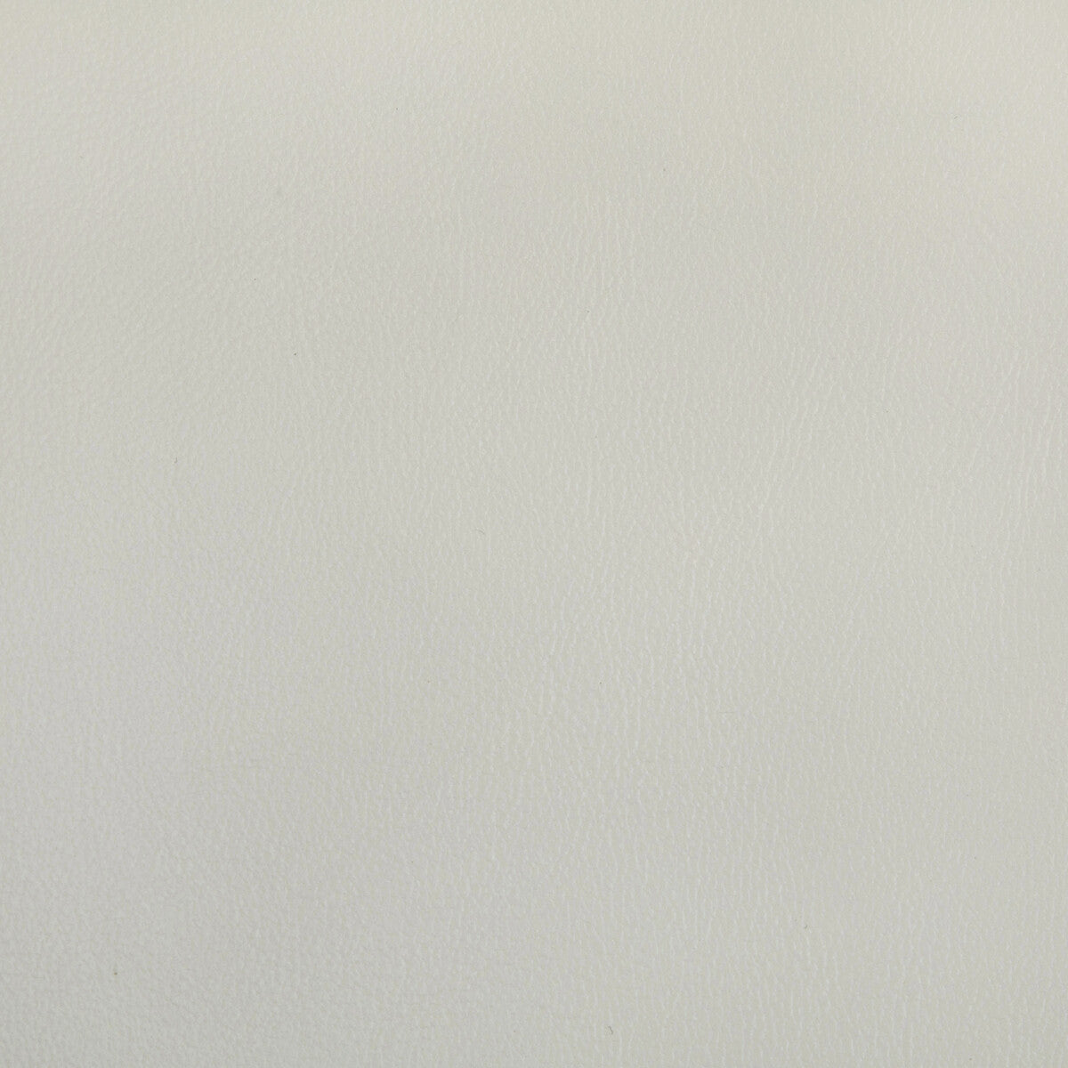 Rand fabric in fog color - pattern RAND.1101.0 - by Kravet Contract