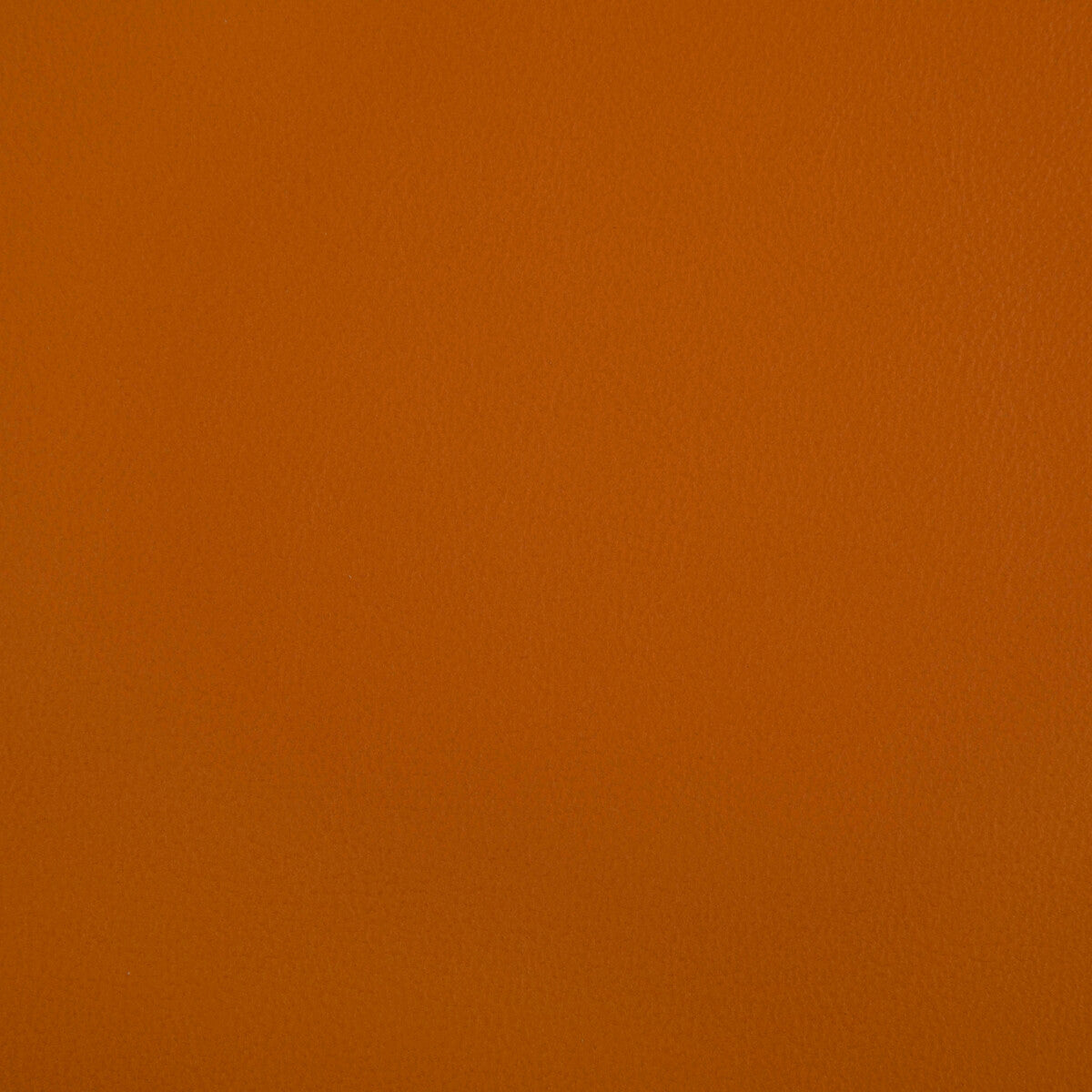 Rand fabric in squash color - pattern RAND.12.0 - by Kravet Contract