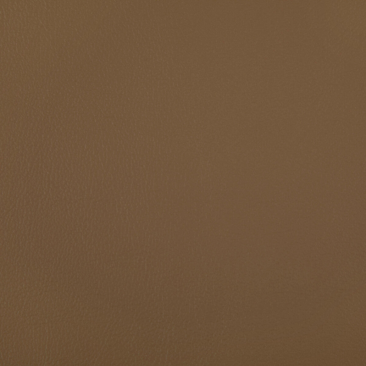 Rand fabric in saddle color - pattern RAND.16.0 - by Kravet Contract