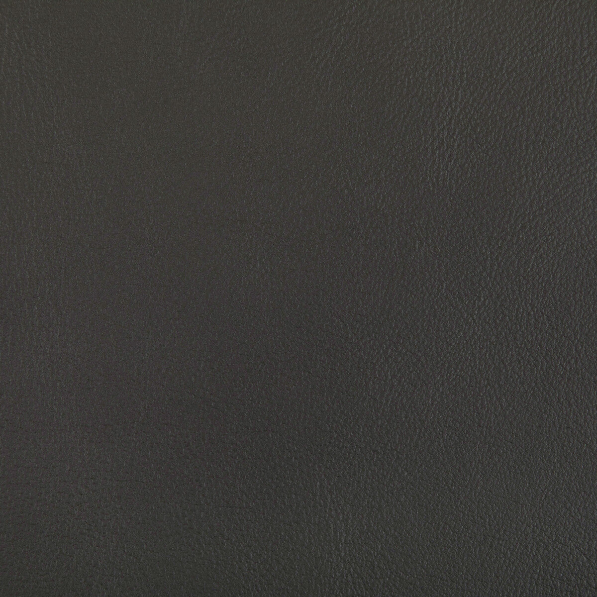 Rand fabric in shadow color - pattern RAND.21.0 - by Kravet Contract