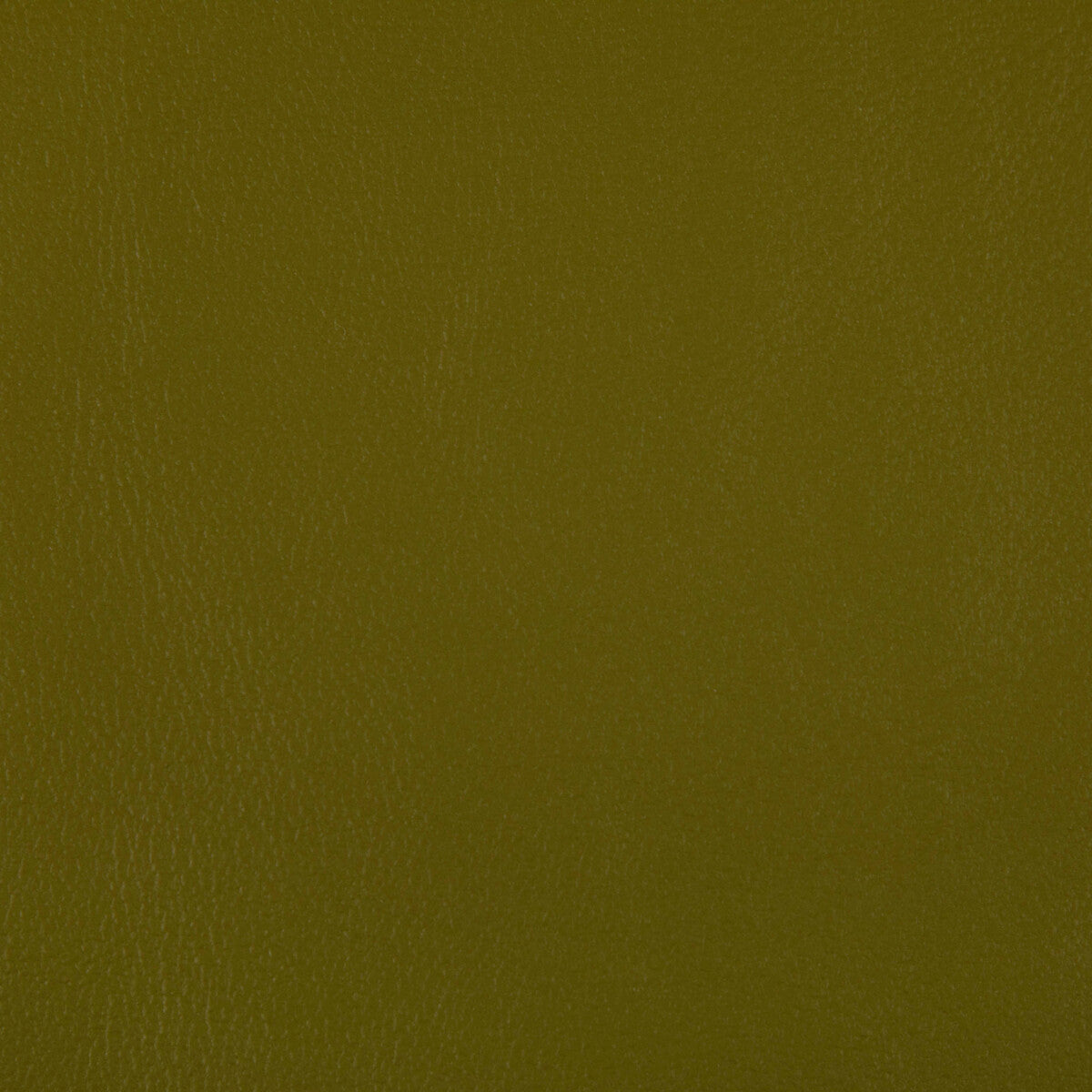 Rand fabric in wasabi color - pattern RAND.23.0 - by Kravet Contract