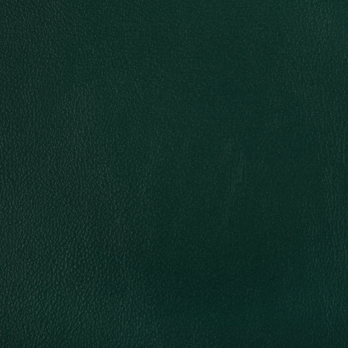 Rand fabric in forest color - pattern RAND.3.0 - by Kravet Contract