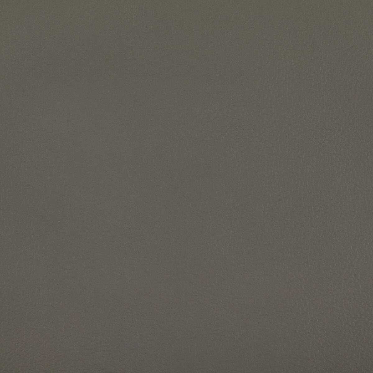 Rand fabric in greystone color - pattern RAND.52.0 - by Kravet Contract