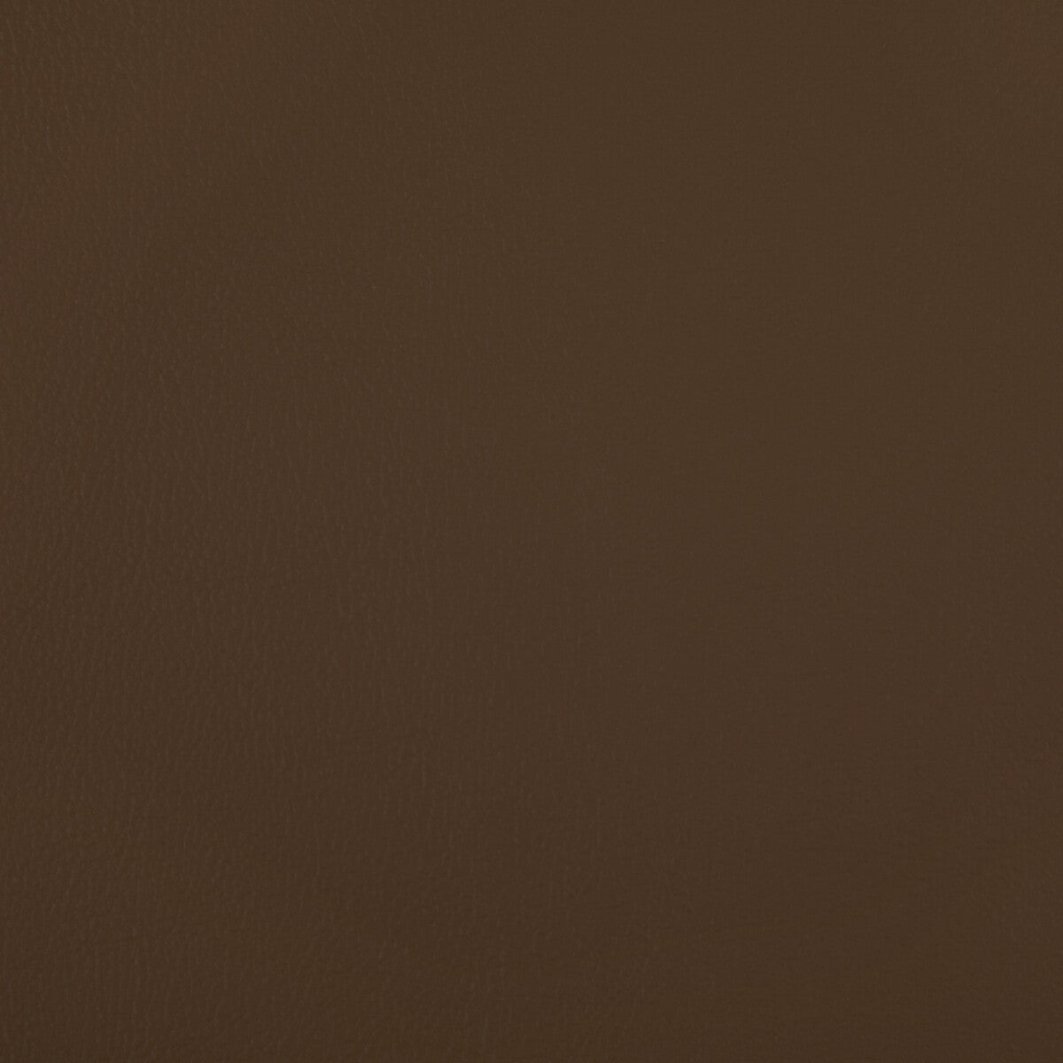 Rand fabric in cognac color - pattern RAND.6.0 - by Kravet Contract