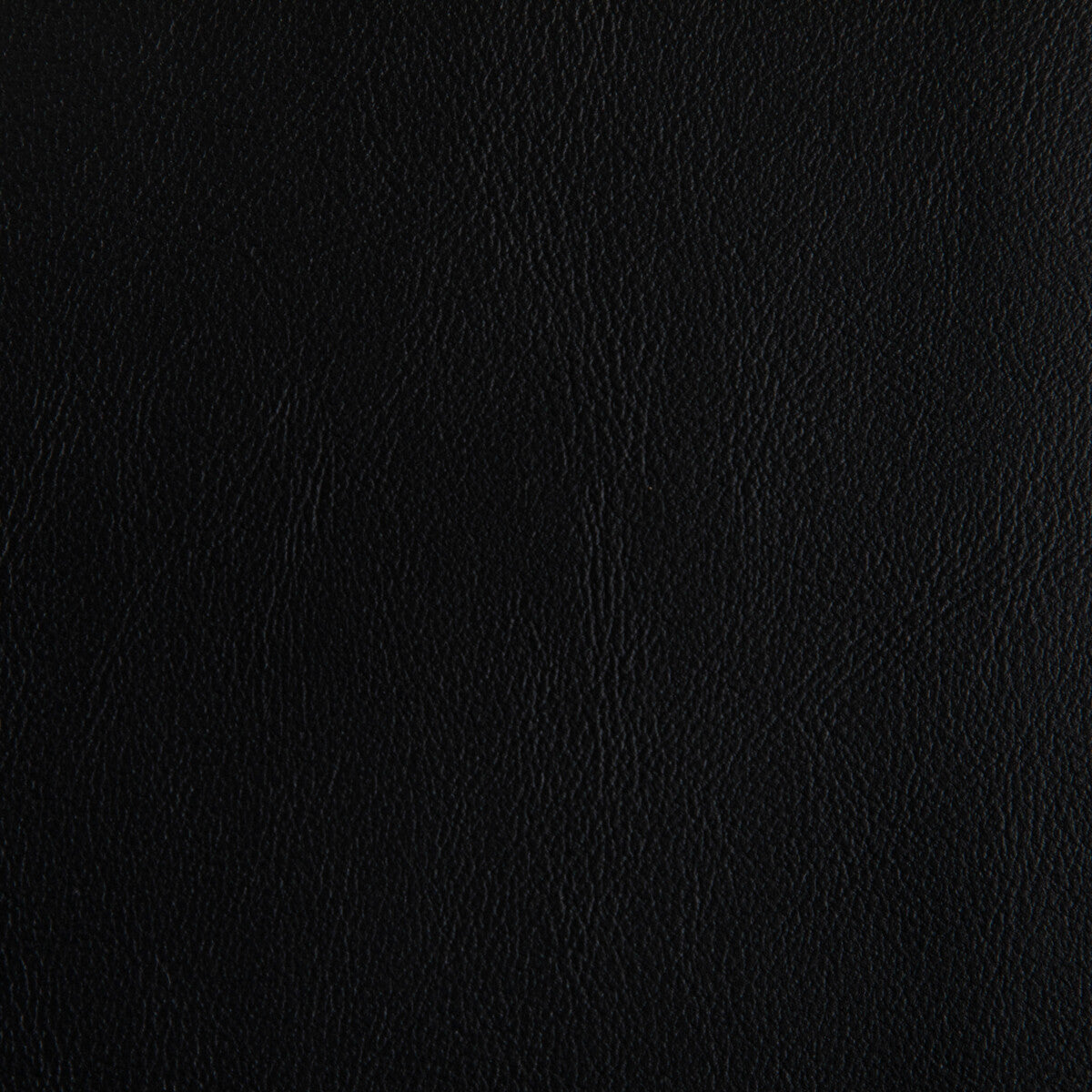 Rand fabric in stallion color - pattern RAND.8.0 - by Kravet Contract
