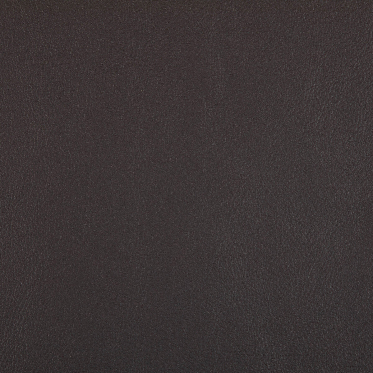 Rand fabric in mocha color - pattern RAND.811.0 - by Kravet Contract