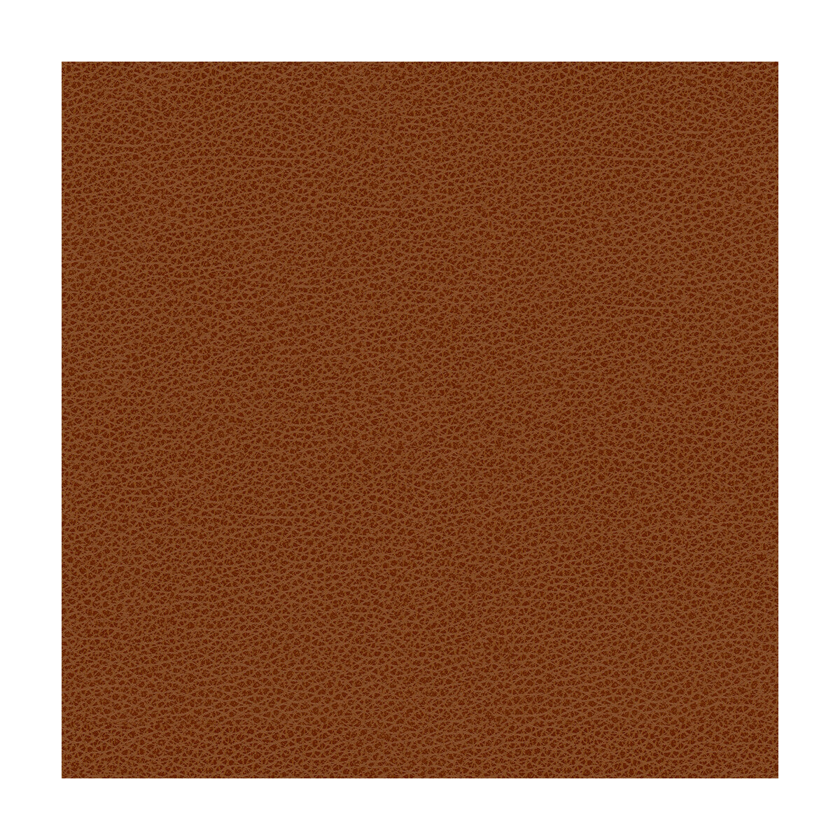 Kravet Design fabric in rigel-24 color - pattern RIGEL.24.0 - by Kravet Design