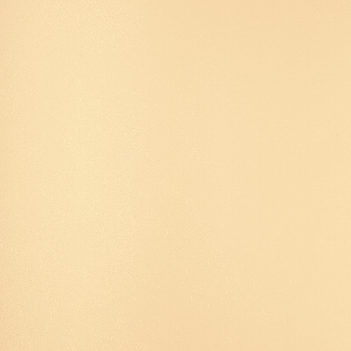 Rind fabric in rind-101 color - pattern number RIND.101.0 - by Kravet Design in the Faux Leather IV collection