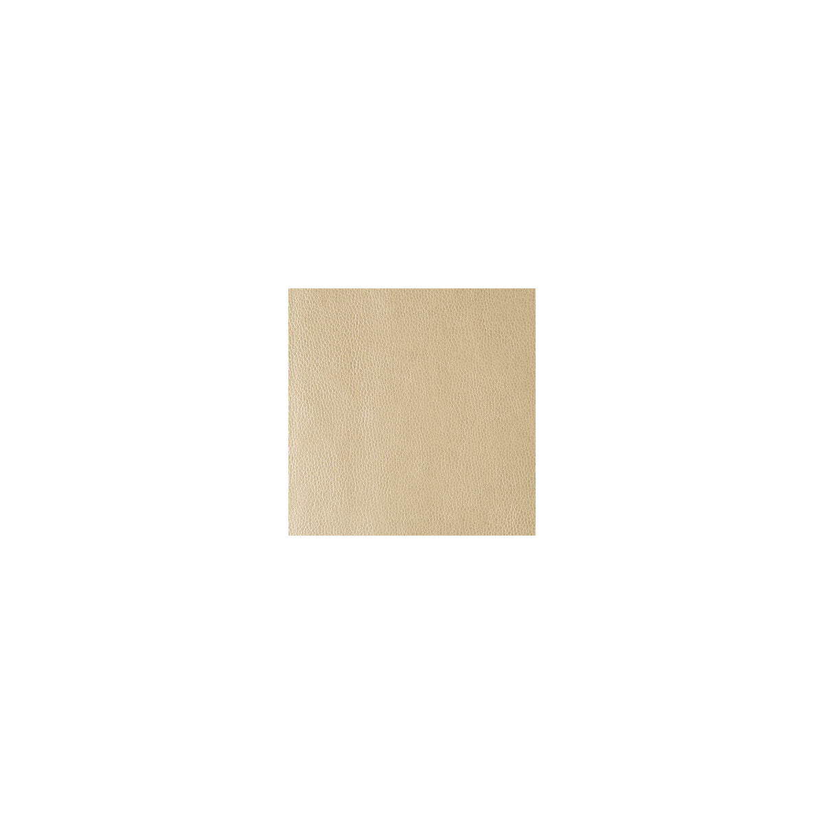 Rumors fabric in gold dust color - pattern RUMORS.116.0 - by Kravet Contract in the Sta-Kleen collection