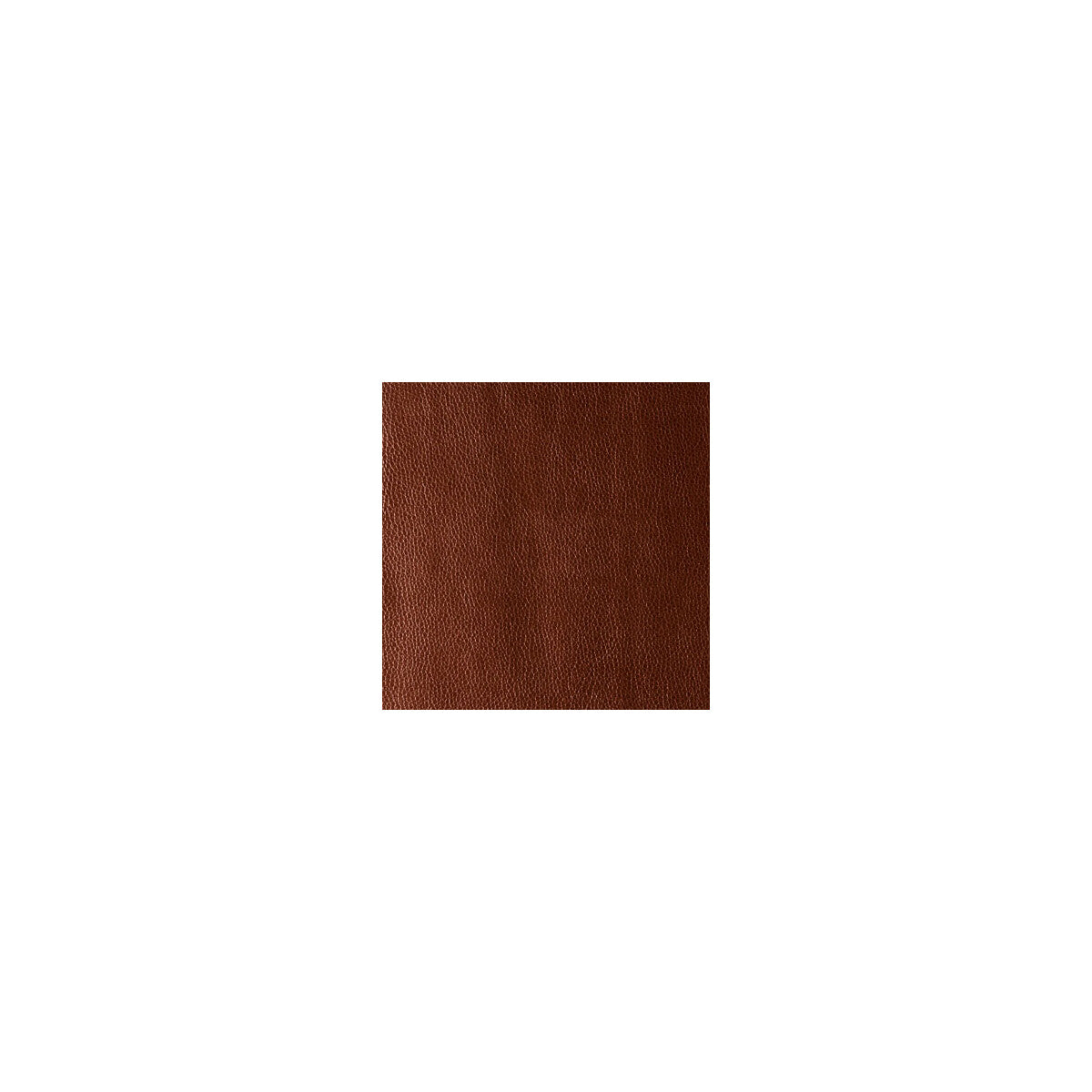 Rumors fabric in cinnamon color - pattern RUMORS.24.0 - by Kravet Contract in the Sta-Kleen collection