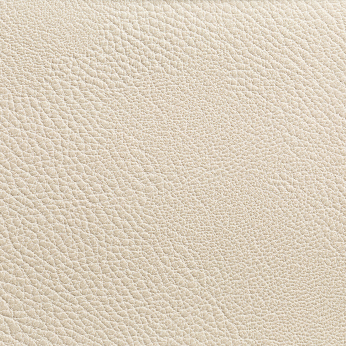 Rustler fabric in gypsum color - pattern RUSTLER.111.0 - by Kravet Contract in the Foundations / Value collection