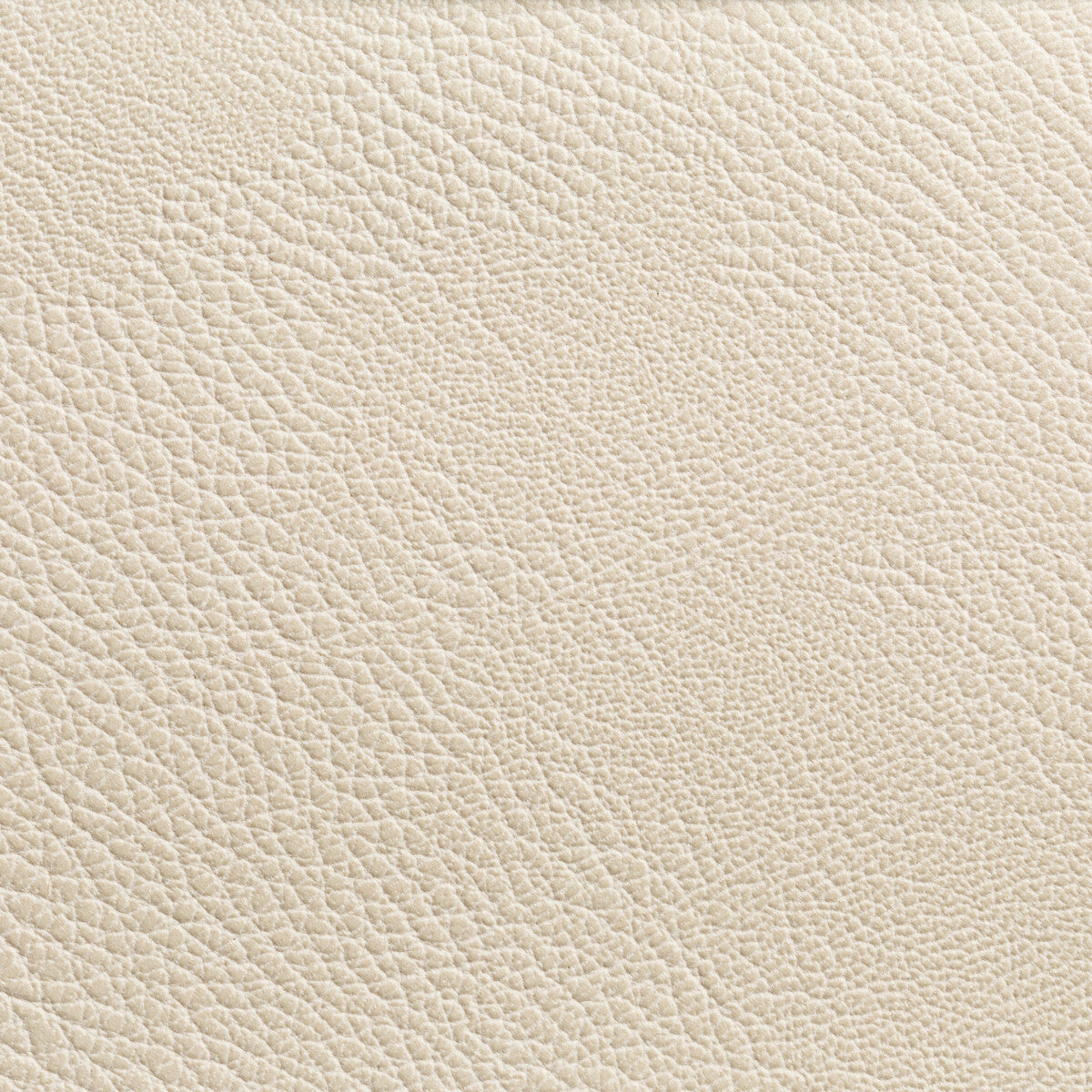 Rustler fabric in gypsum color - pattern RUSTLER.111.0 - by Kravet Contract in the Foundations / Value collection
