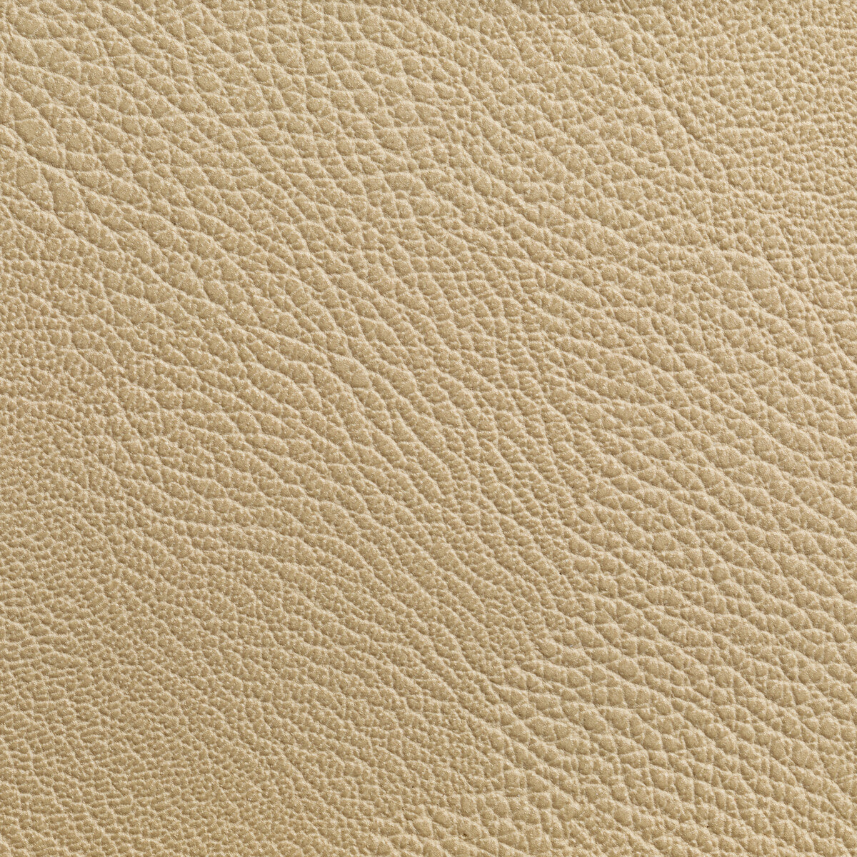 Rustler fabric in wheat color - pattern RUSTLER.116.0 - by Kravet Contract in the Foundations / Value collection