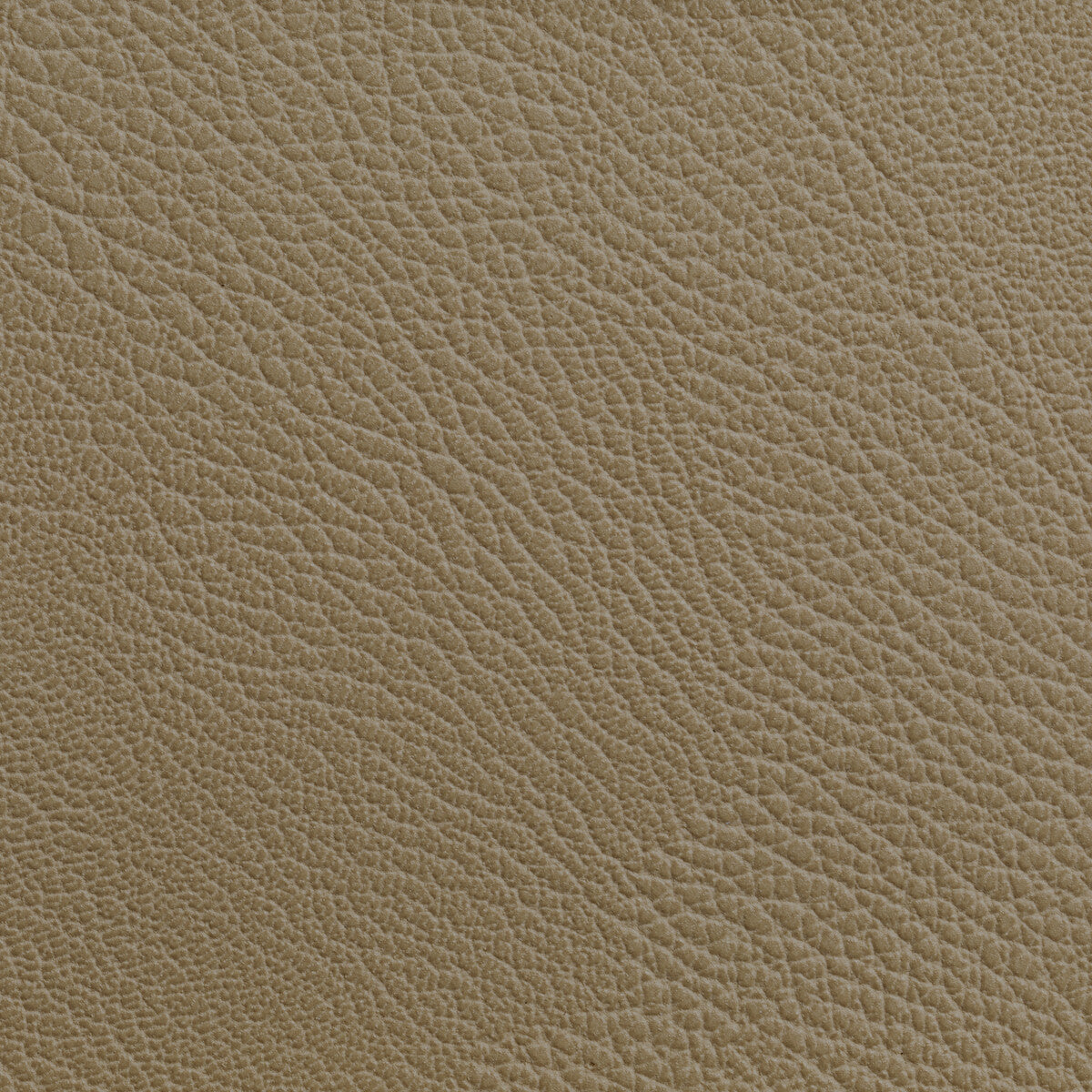 Rustler fabric in cashew color - pattern RUSTLER.16.0 - by Kravet Contract in the Foundations / Value collection