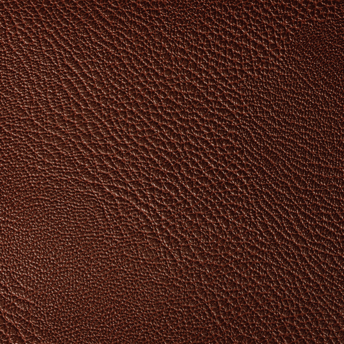 Rustler fabric in port color - pattern RUSTLER.9.0 - by Kravet Contract in the Foundations / Value collection