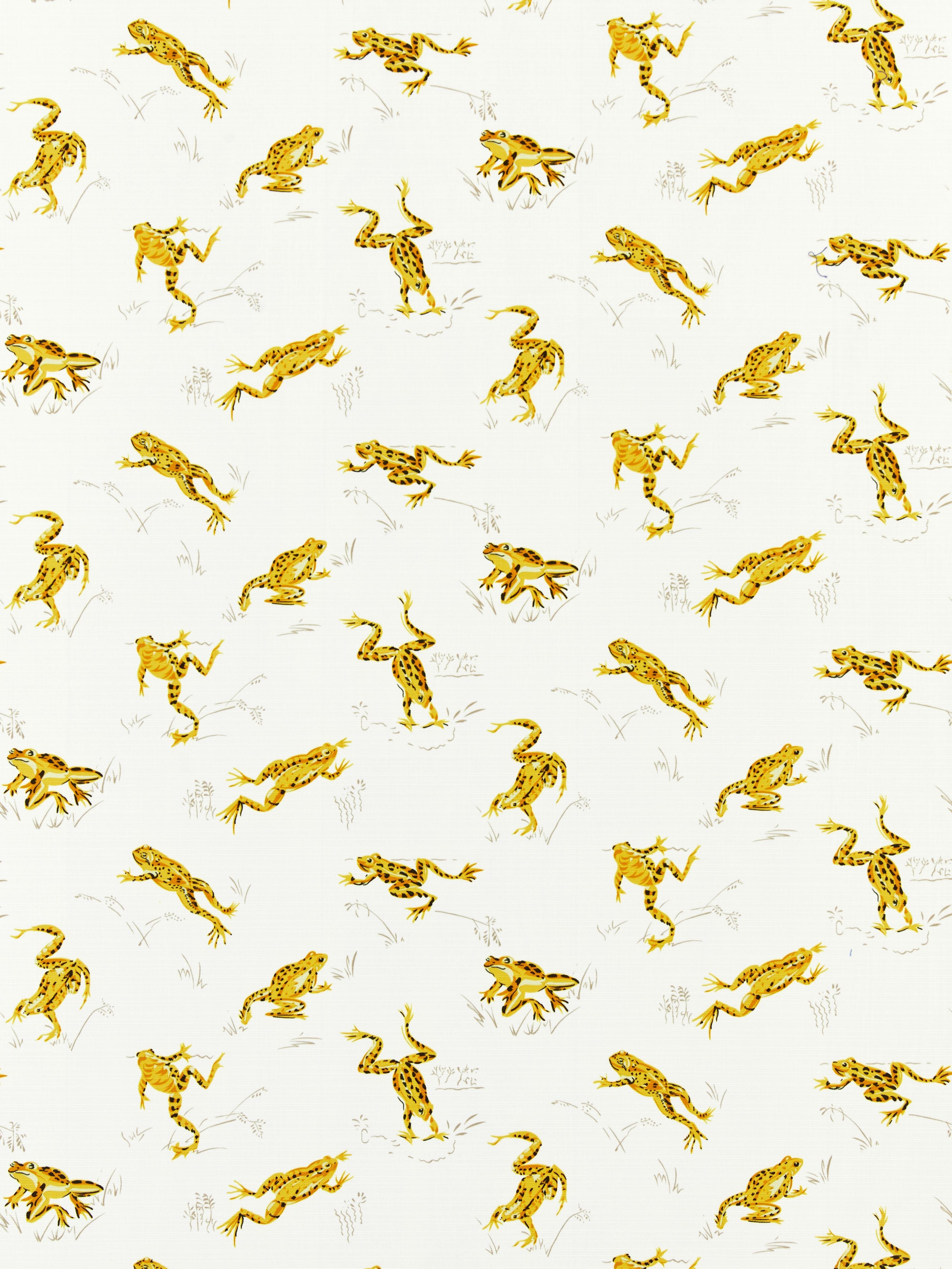 Calabasas County Outdoor fabric in pineapple color - pattern number SC 000116426M - by Scalamandre in the Scalamandre Fabrics Book 1 collection