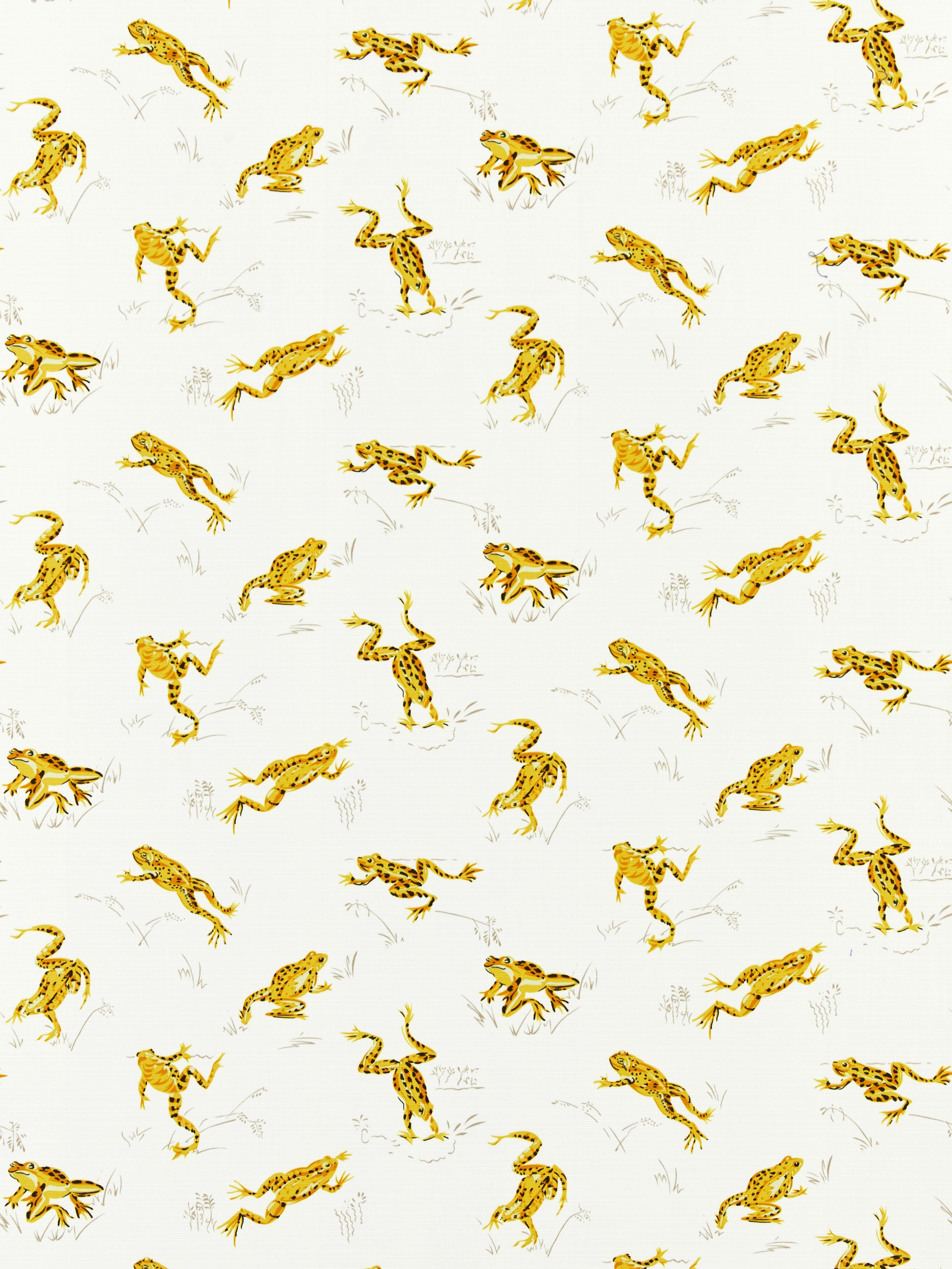 Calabasas County Outdoor fabric in pineapple color - pattern number SC 000116426M - by Scalamandre in the Scalamandre Fabrics Book 1 collection