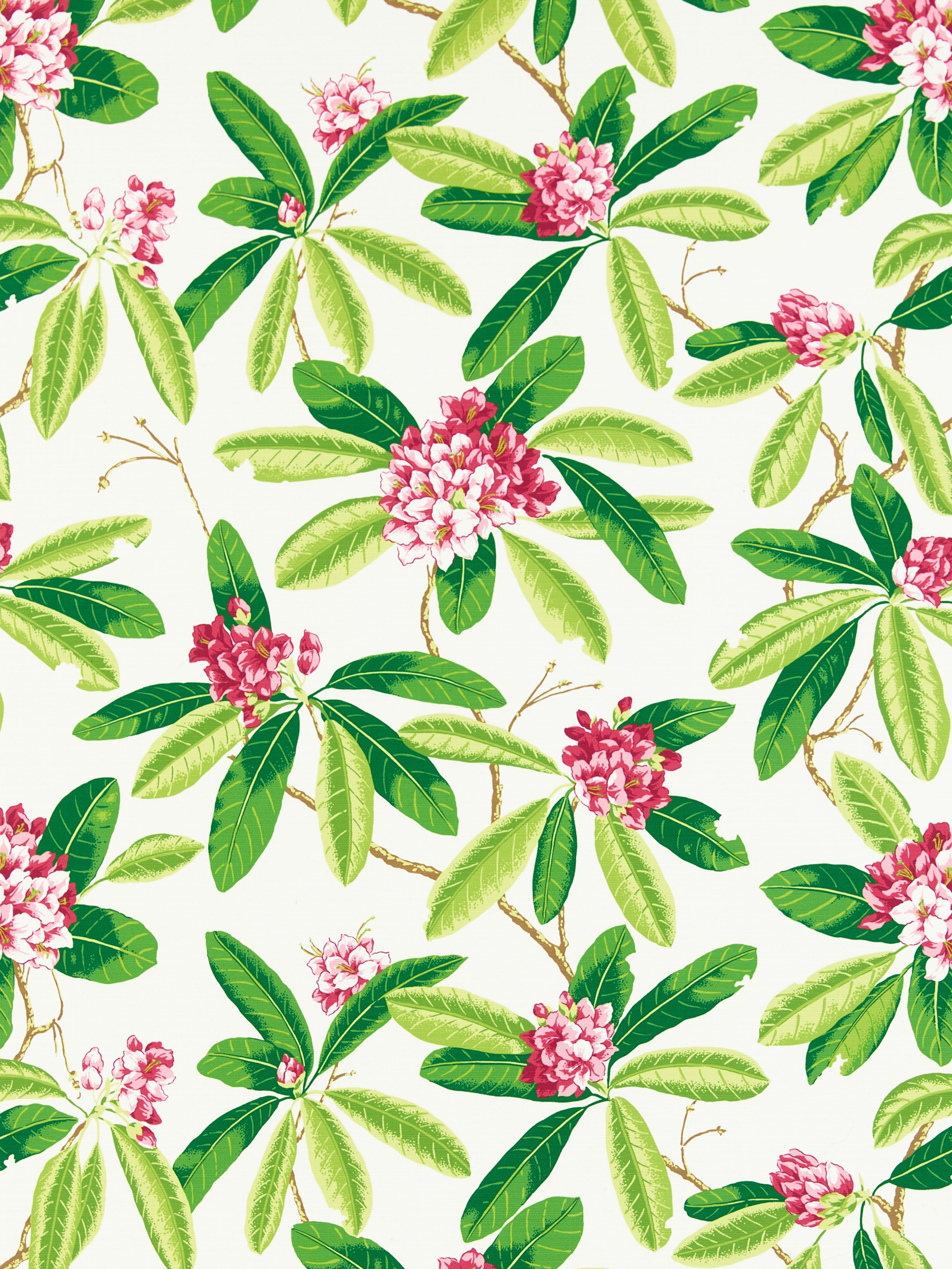 Rhododendron Outdoor fabric in fuschia color - pattern number SC 000116454M - by Scalamandre in the Scalamandre Fabrics Book 1 collection