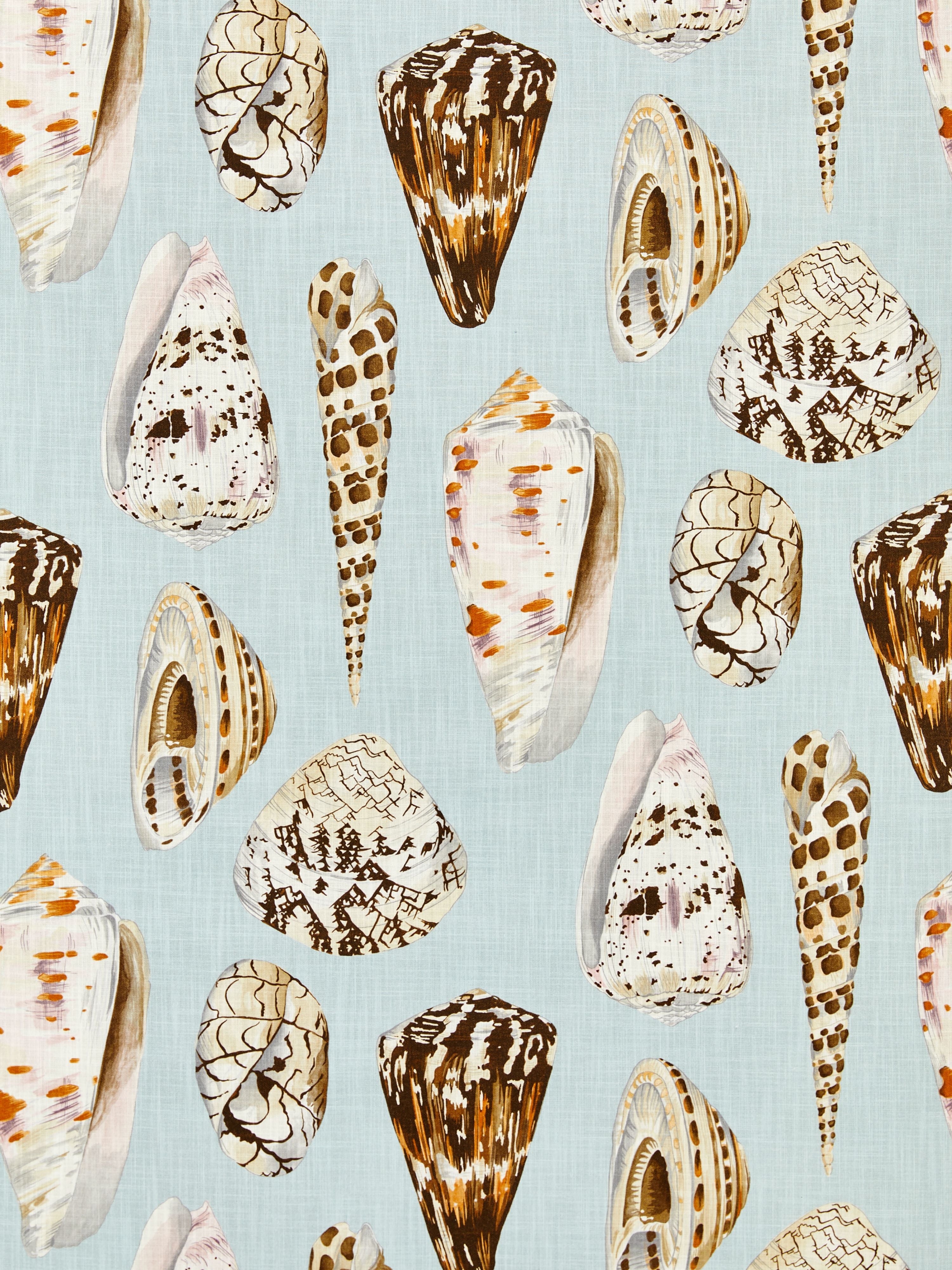 Coquina Outdoor fabric in multi on sea blue color - pattern number SC 000116639 - by Scalamandre in the Scalamandre Fabrics Book 1 collection