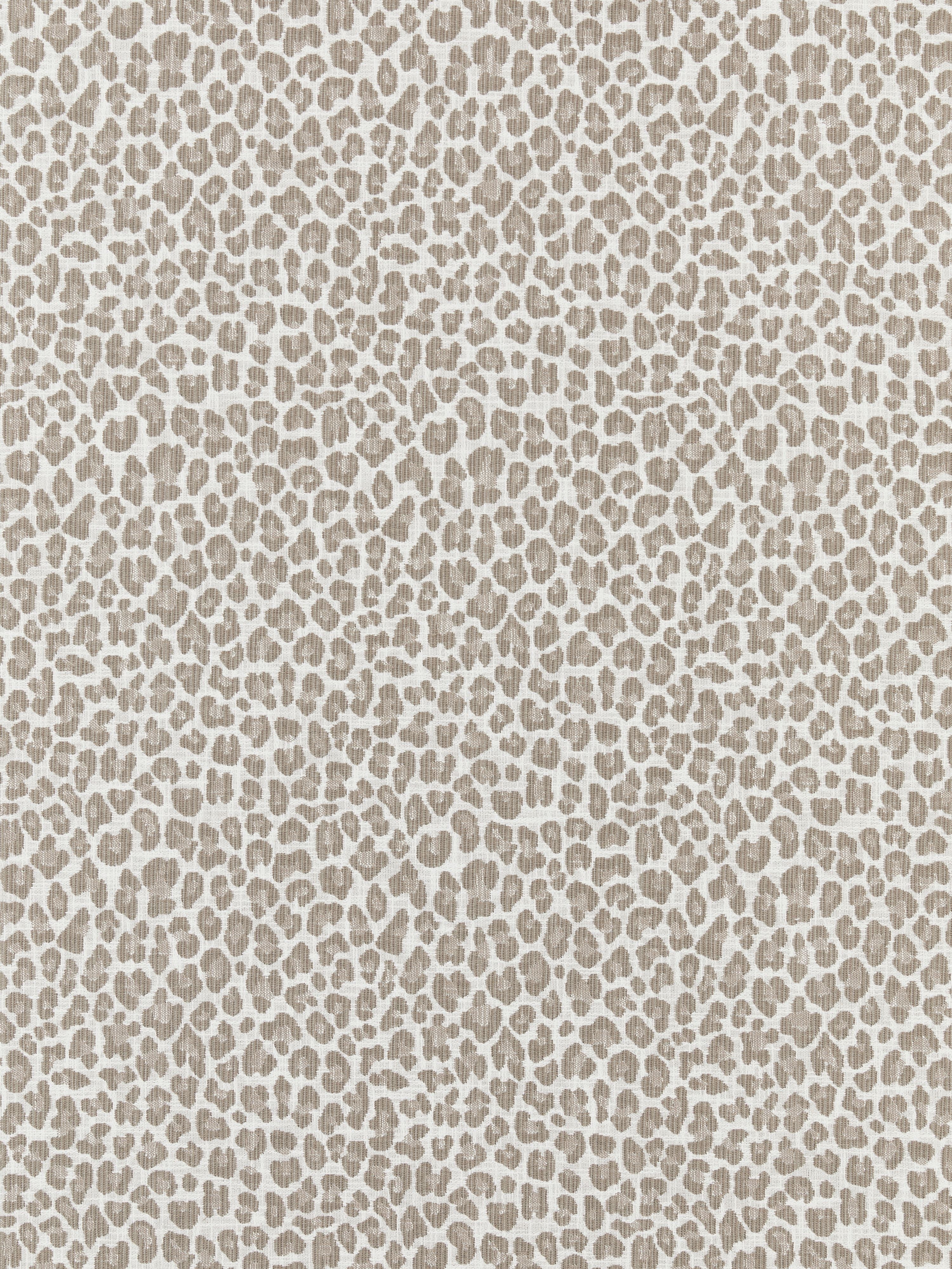 Backyard Bengal fabric in limestone color - pattern number SC 000127316 - by Scalamandre in the Scalamandre Fabrics Book 1 collection