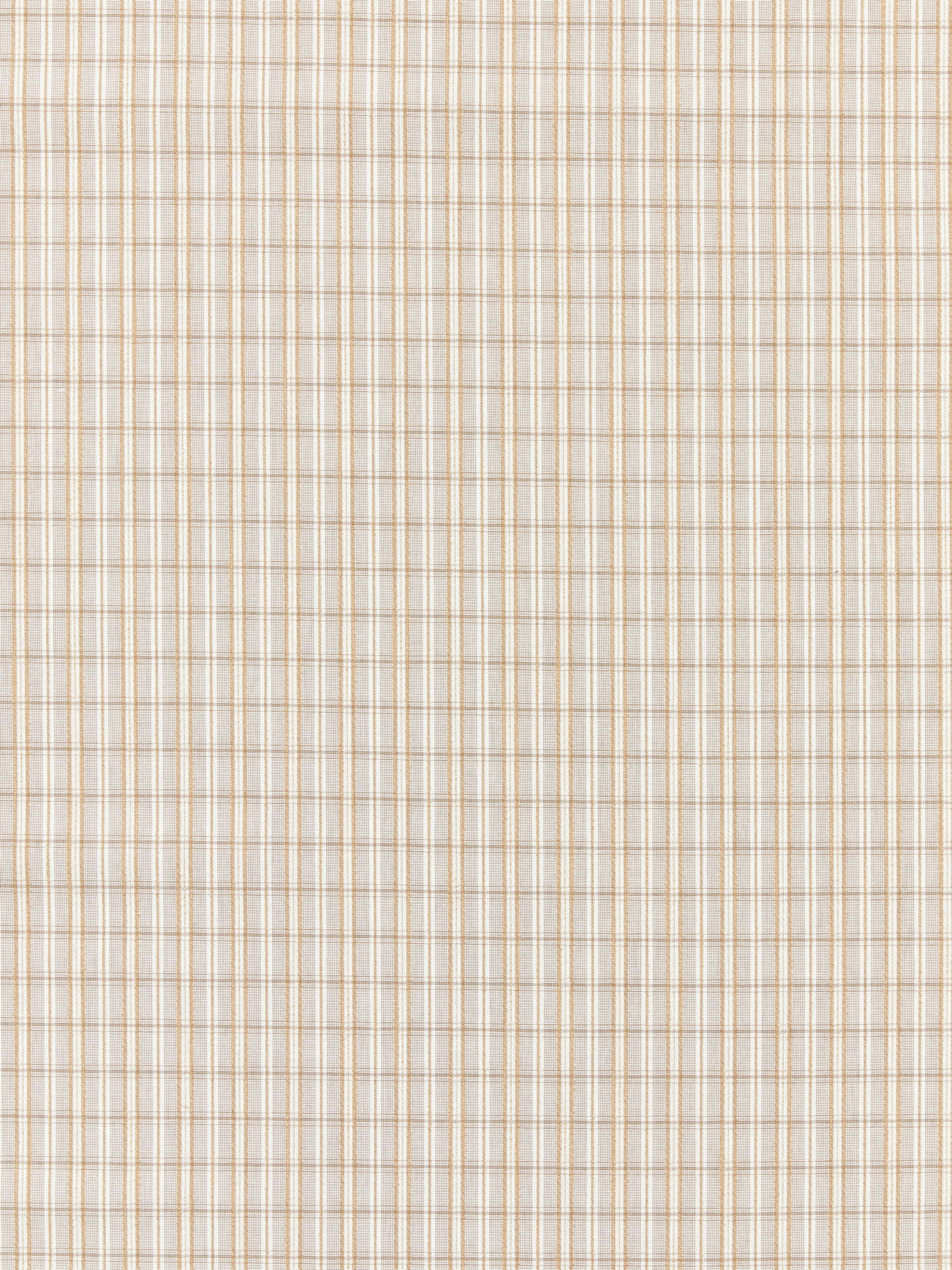 Check Please Outdoor fabric in birch color - pattern number SC 000127318 - by Scalamandre in the Scalamandre Fabrics Book 1 collection