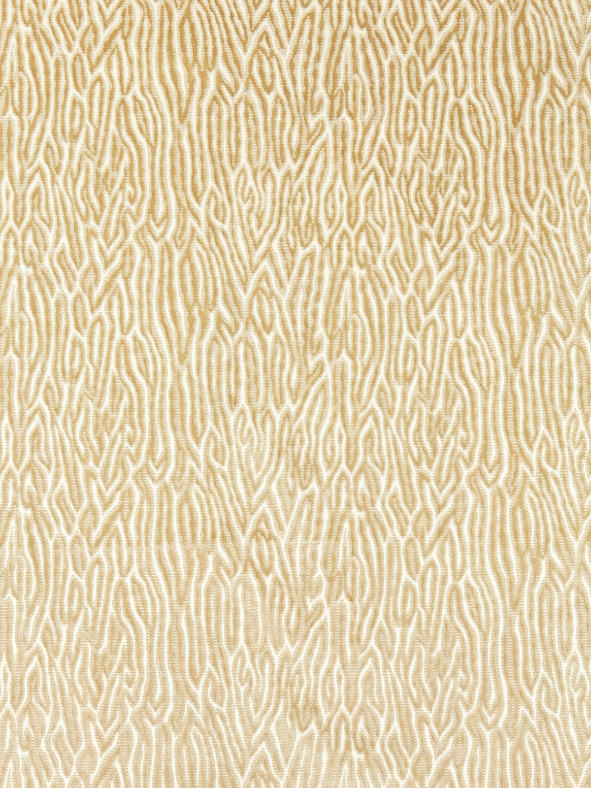 Faux Bois Velvet fabric in sand color - pattern number SC 000227076 - by Scalamandre in the Scalamandre Fabrics Book 1 collection