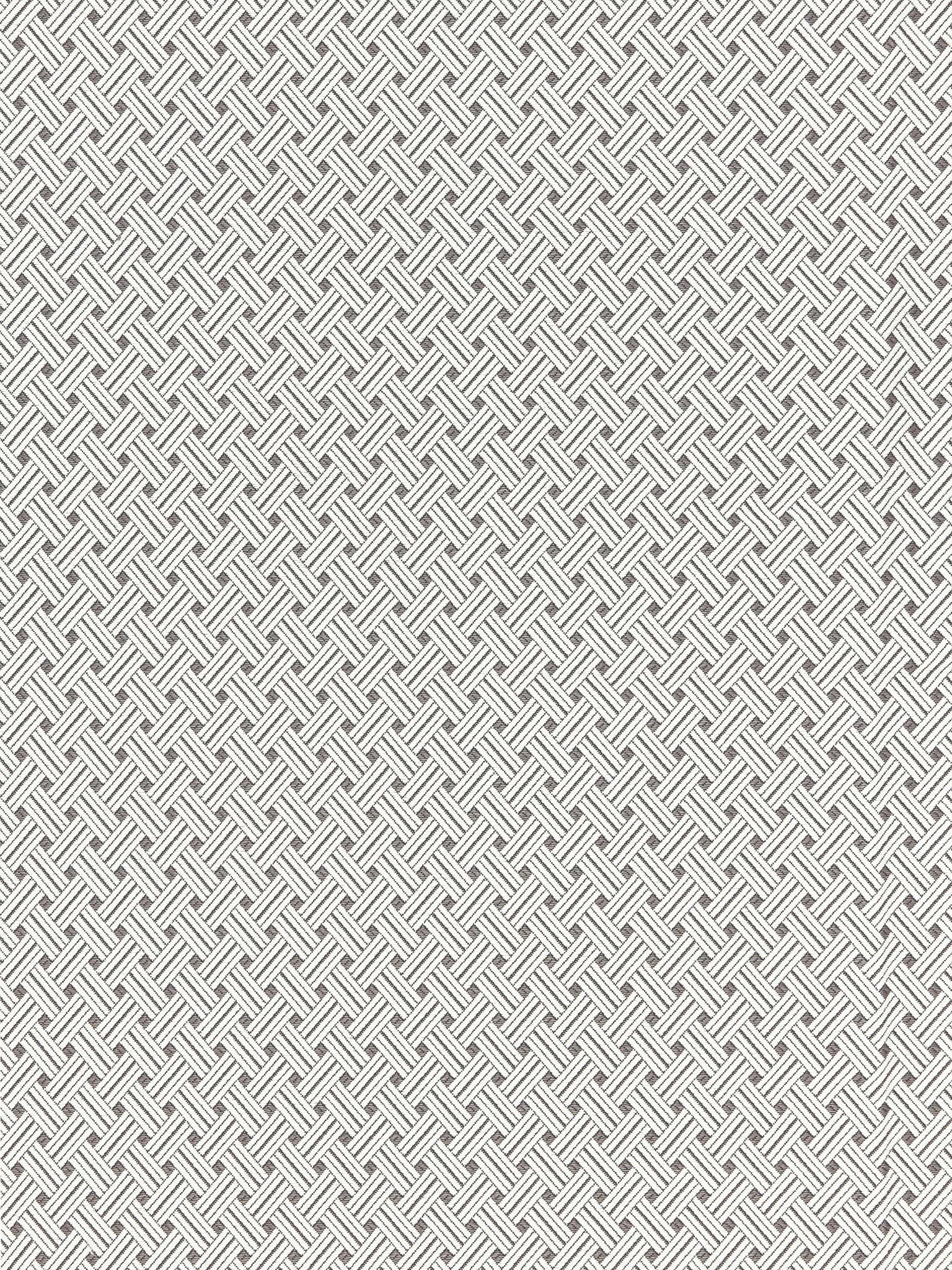 Roatan Weave fabric in pearl grey color - pattern number SC 000227187 - by Scalamandre in the Scalamandre Fabrics Book 1 collection