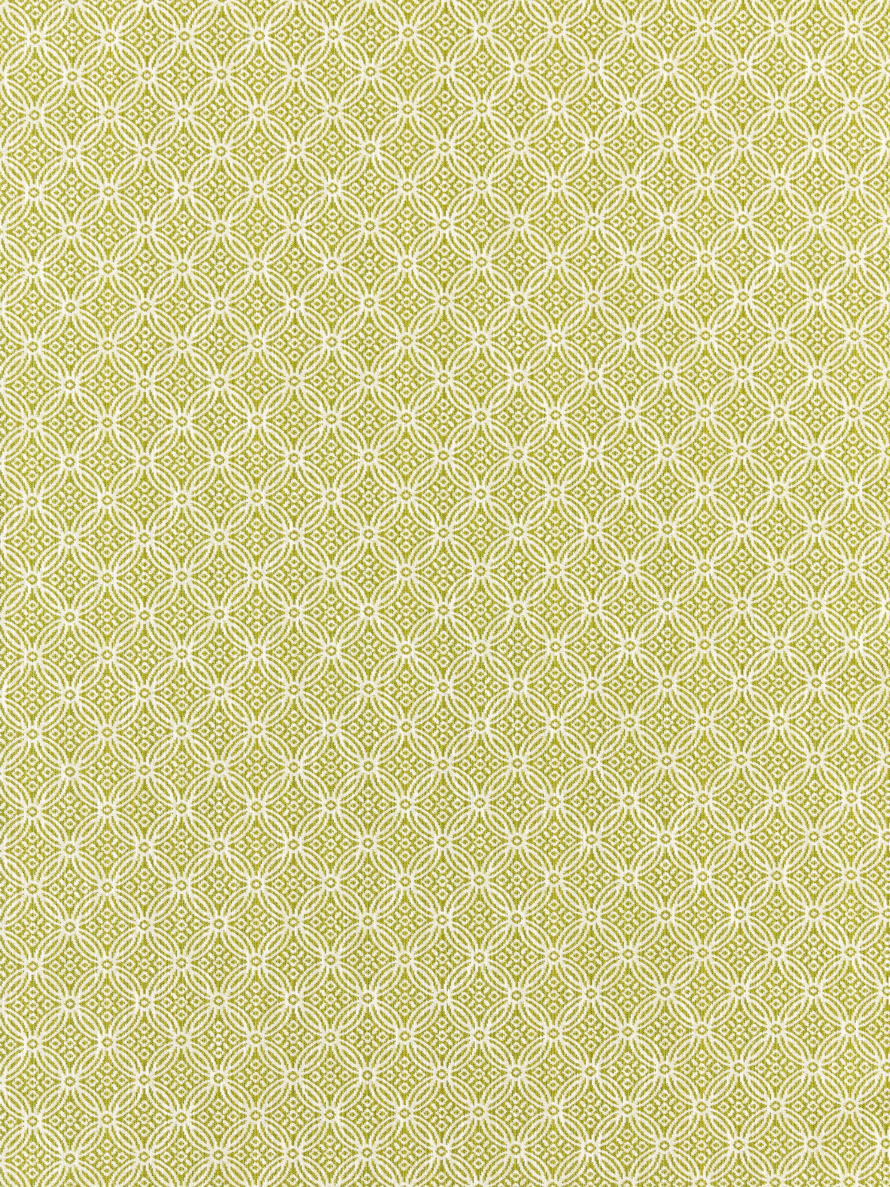 Cape May fabric in key lime color - pattern number SC 000227317 - by Scalamandre in the Scalamandre Fabrics Book 1 collection