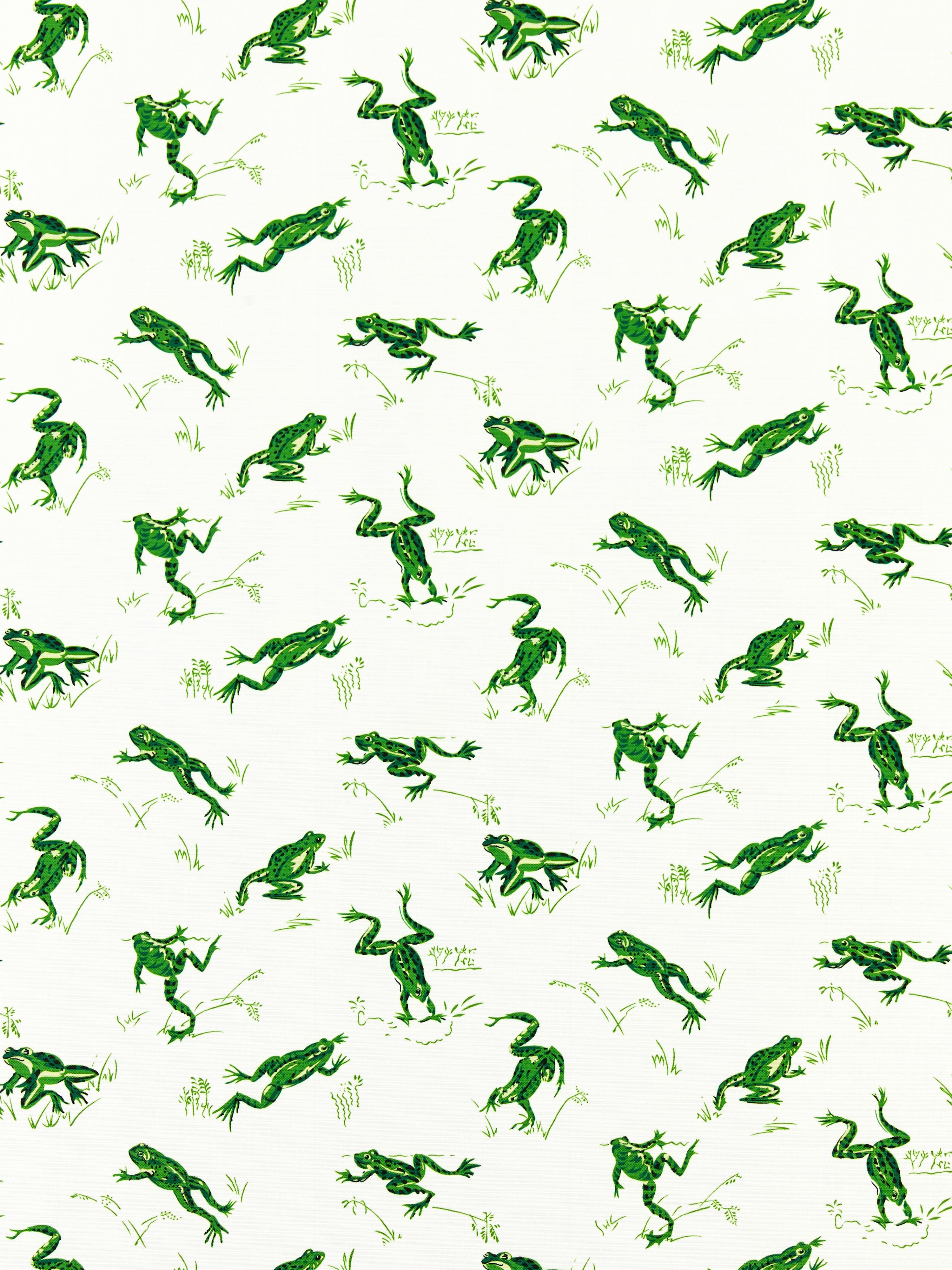 Calabasas County Outdoor fabric in snap pea color - pattern number SC 000316426M - by Scalamandre in the Scalamandre Fabrics Book 1 collection