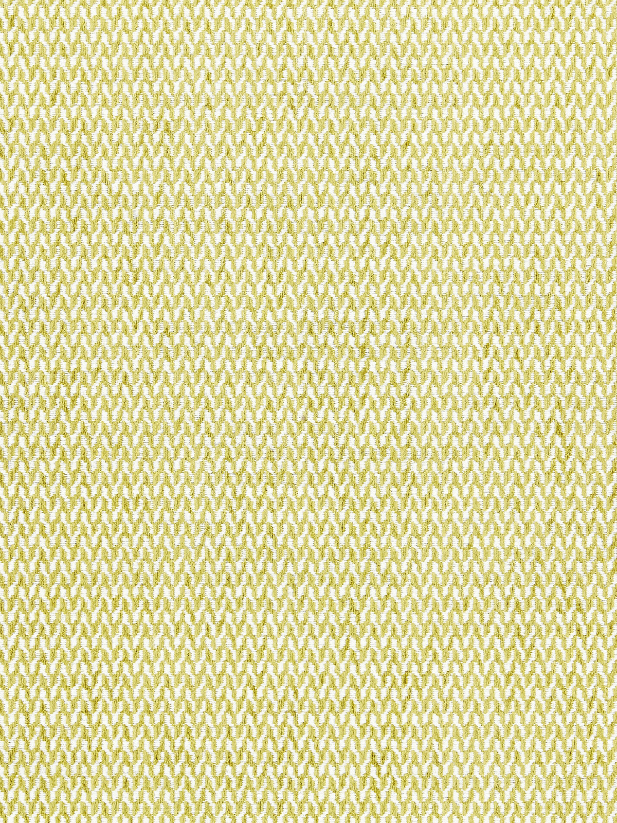 Cortona Chenille fabric in fern color - pattern number SC 000327104 - by Scalamandre in the Scalamandre Fabrics Book 1 collection