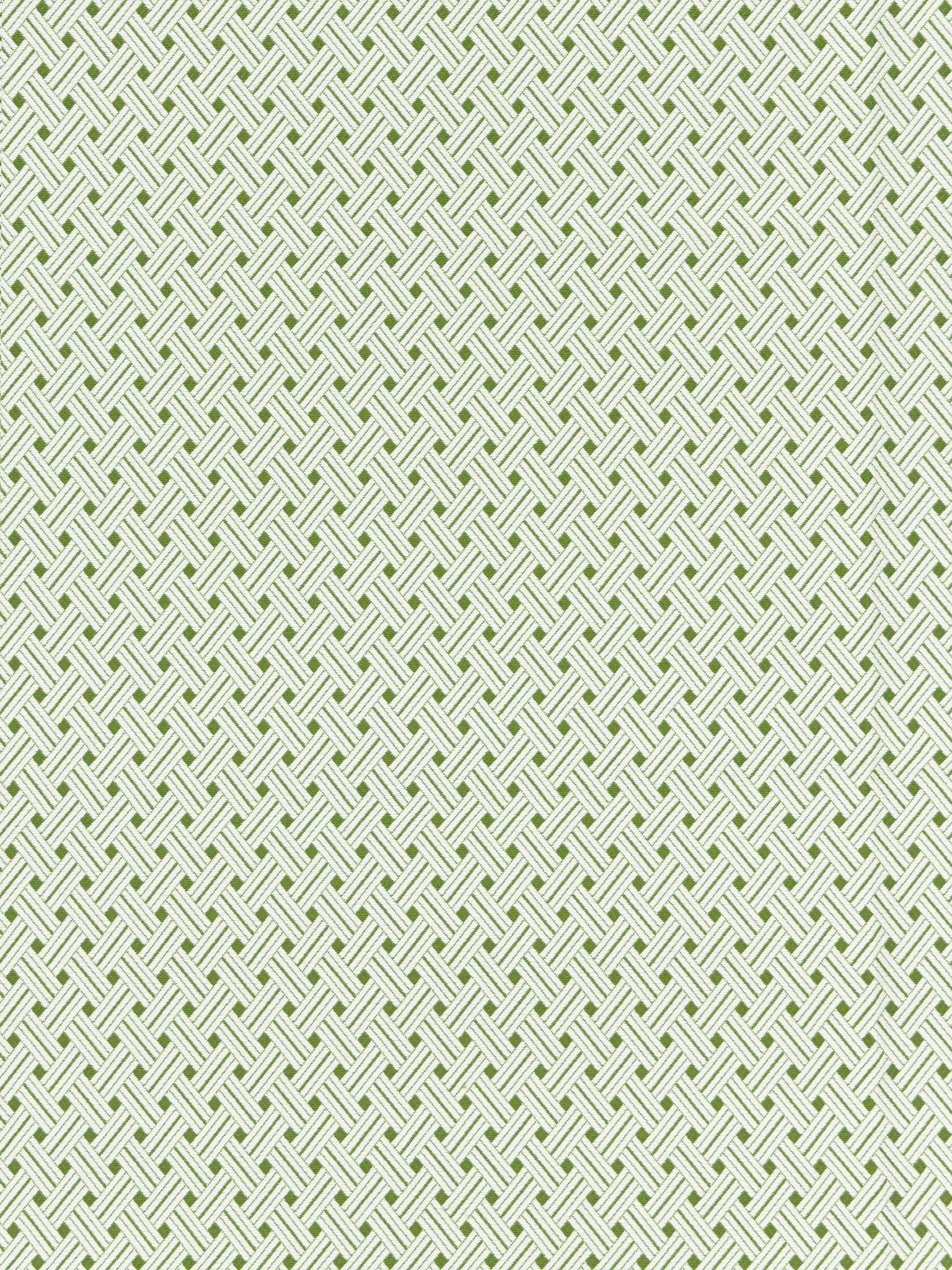 Roatan Weave fabric in palm color - pattern number SC 000327187 - by Scalamandre in the Scalamandre Fabrics Book 1 collection