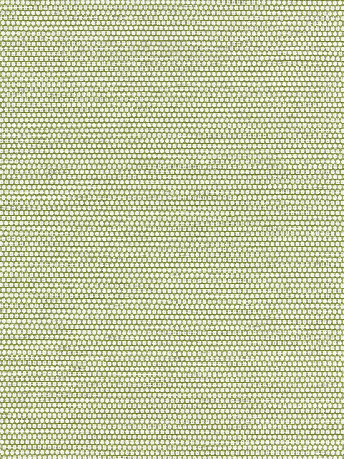 Corsica Weave fabric in palm color - pattern number SC 000327190 - by Scalamandre in the Scalamandre Fabrics Book 1 collection